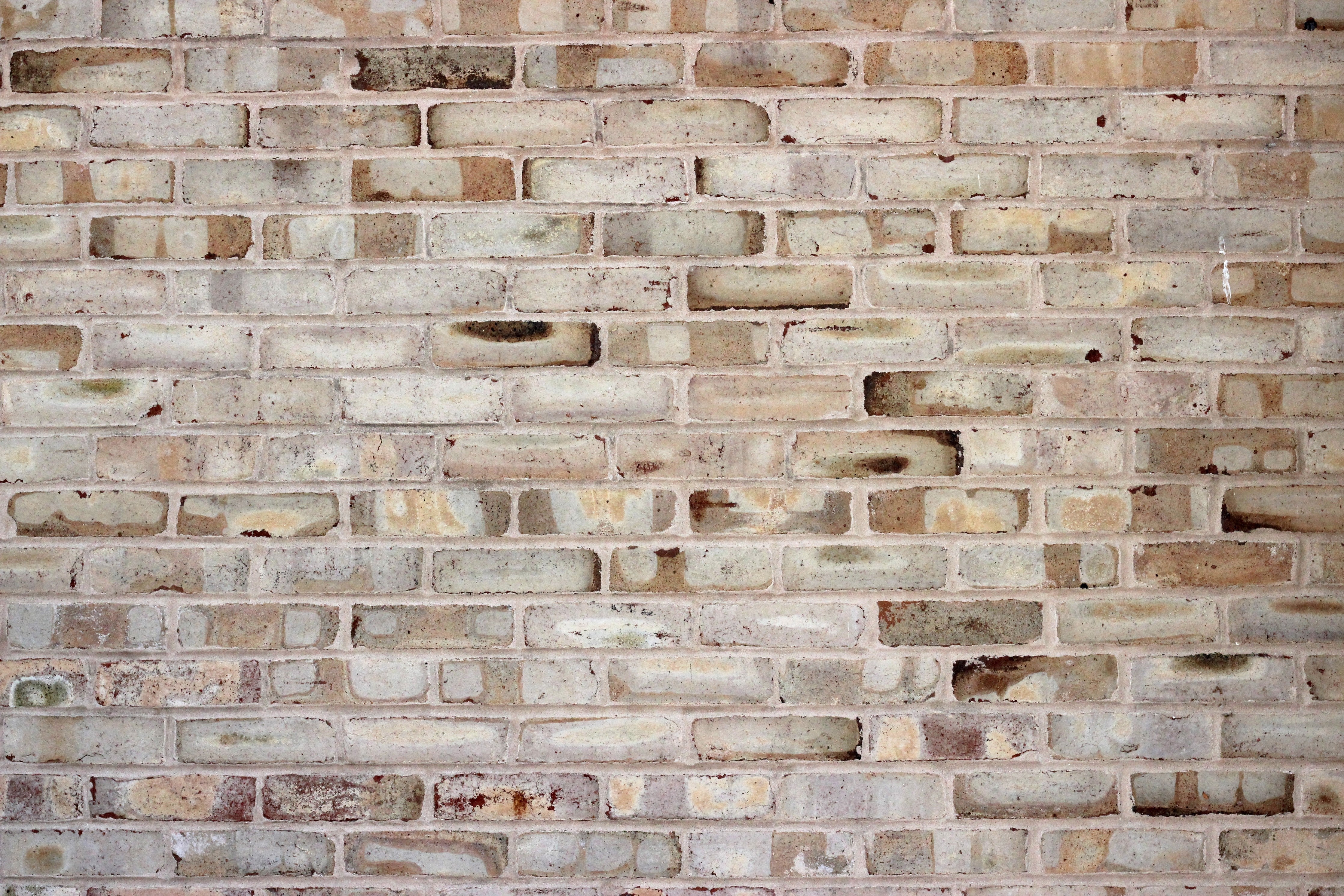 WC-Rückwand-Rustikale Ziegelsteinwand in Beige und Grau