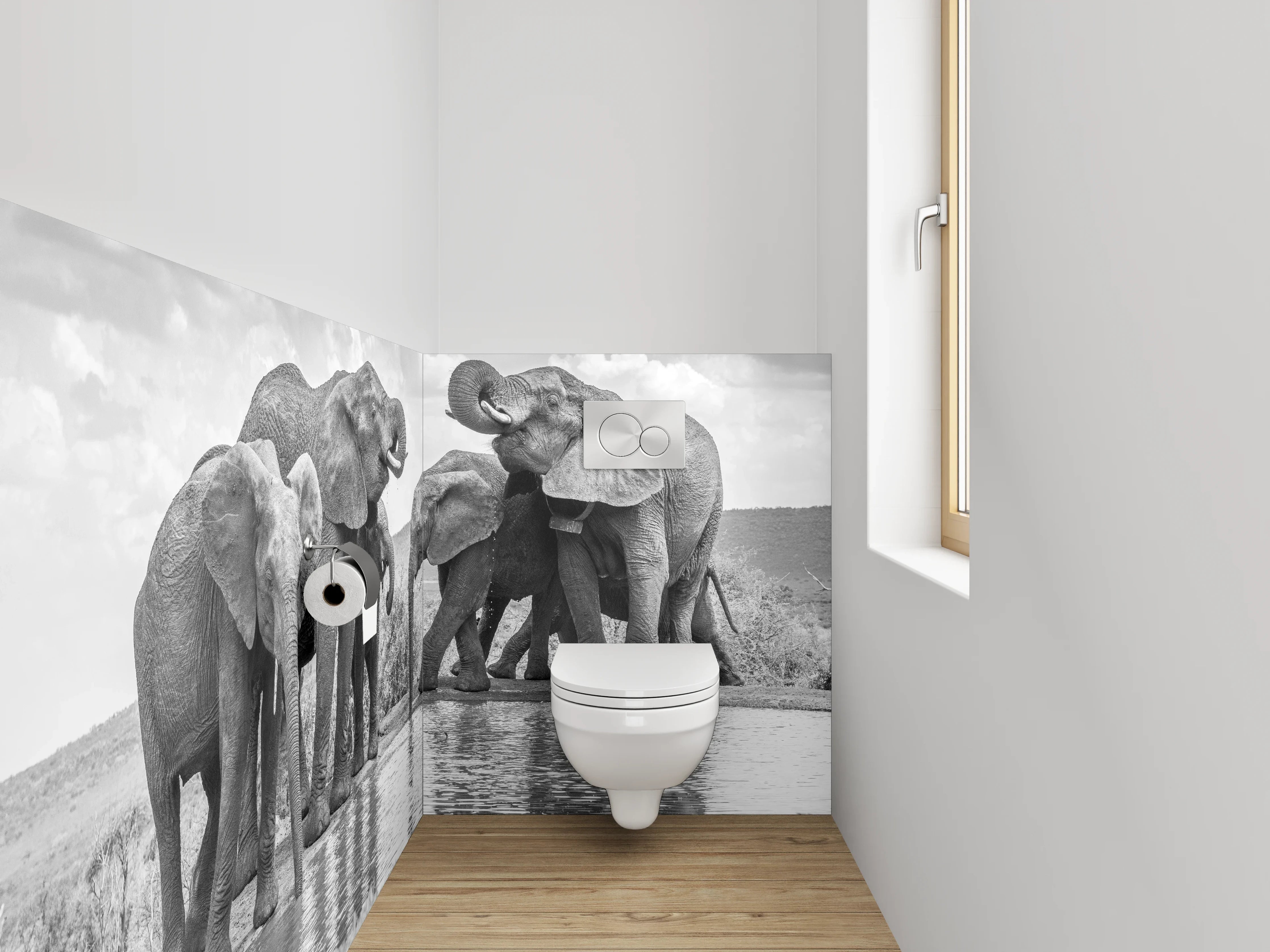 WC-Rückwand - Schwarz-weiße Elefanten am Wasserloch