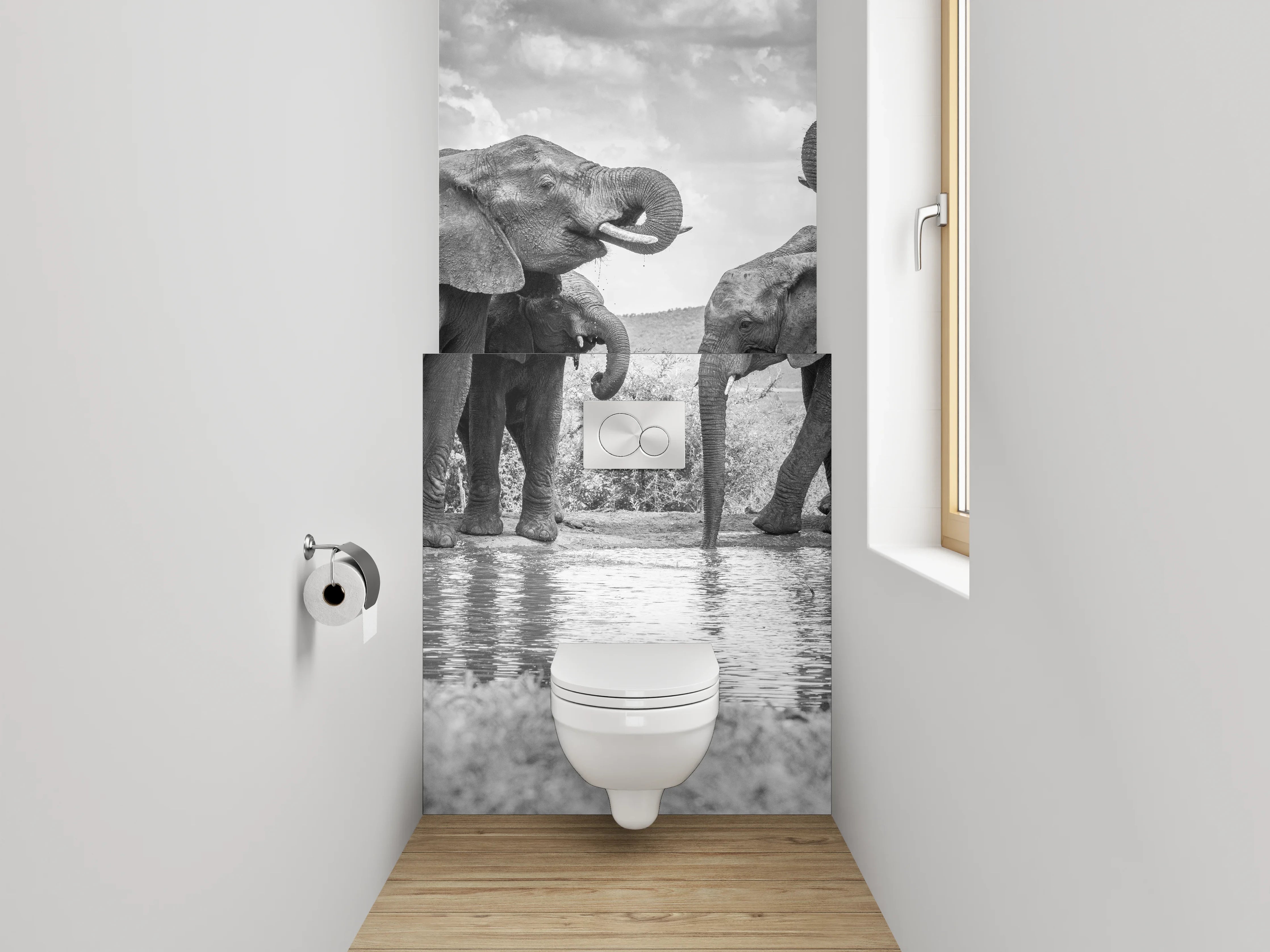 WC-Rückwand - Schwarz-weiße Elefanten am Wasserloch