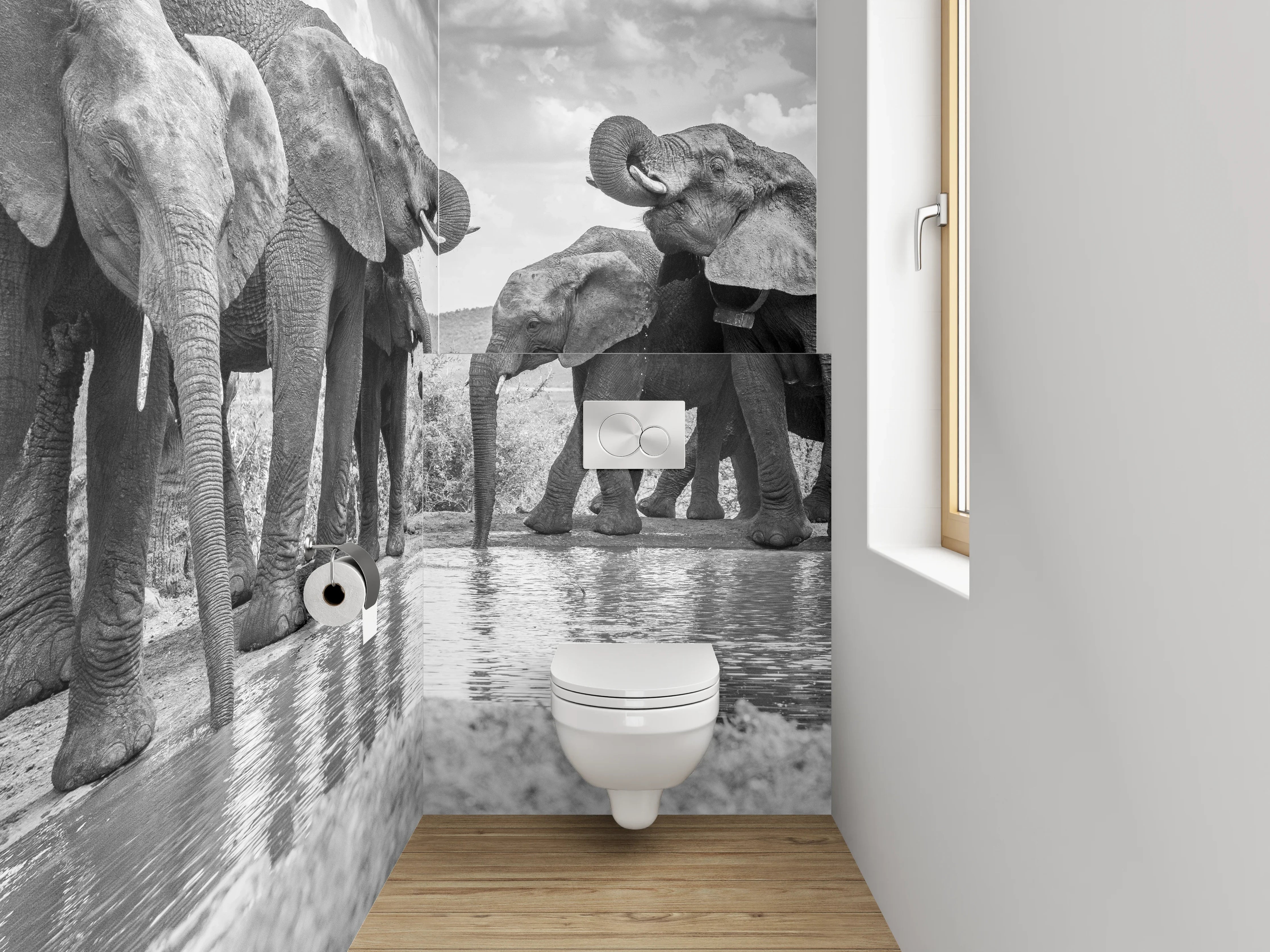 WC-Rückwand - Schwarz-weiße Elefanten am Wasserloch