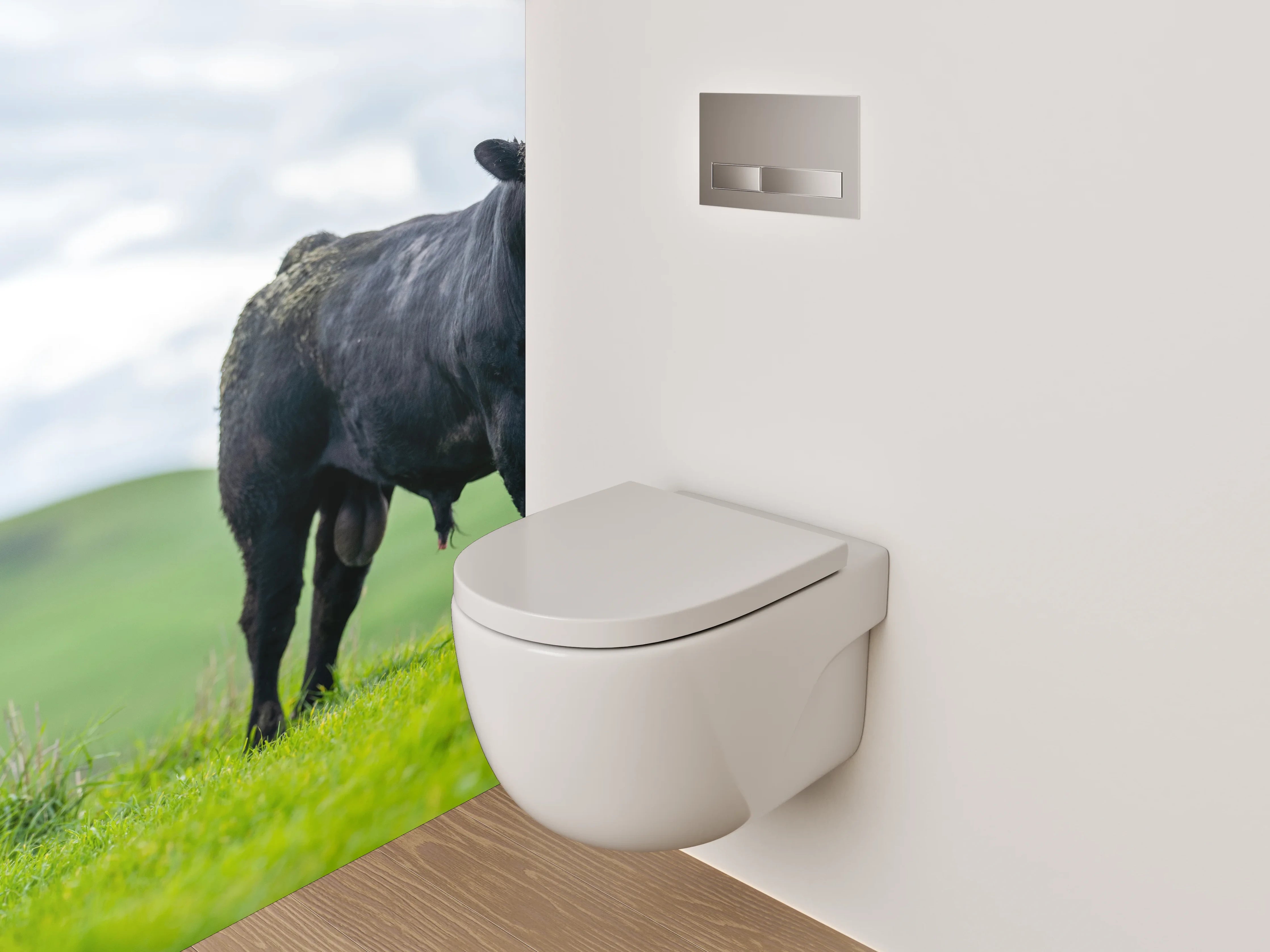 WC-Rückwand - Schwarzer Bulle auf grüner Weide