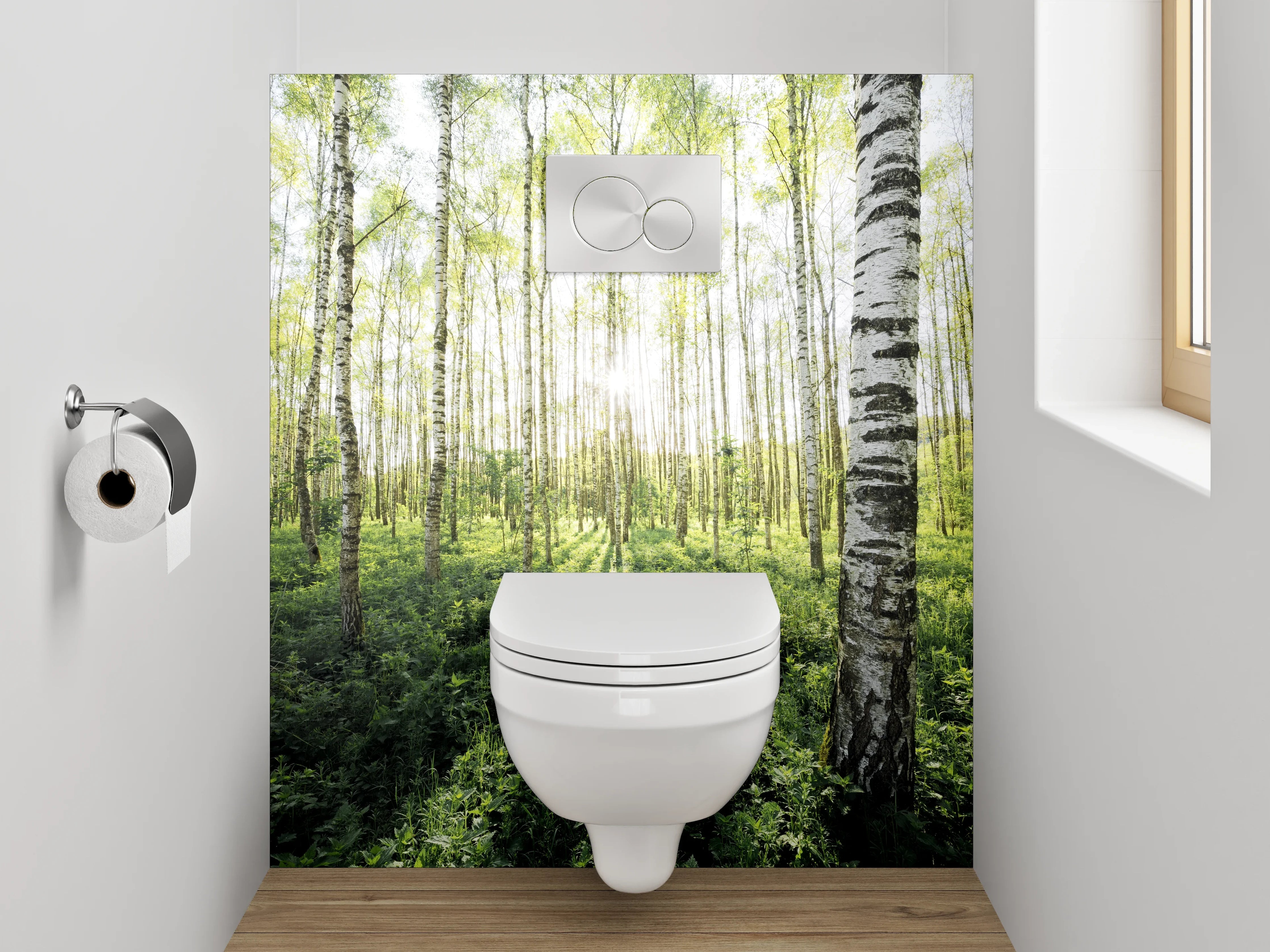 WC-Rückwand - Sonnendurchfluteter Birkenwald Naturmotiv