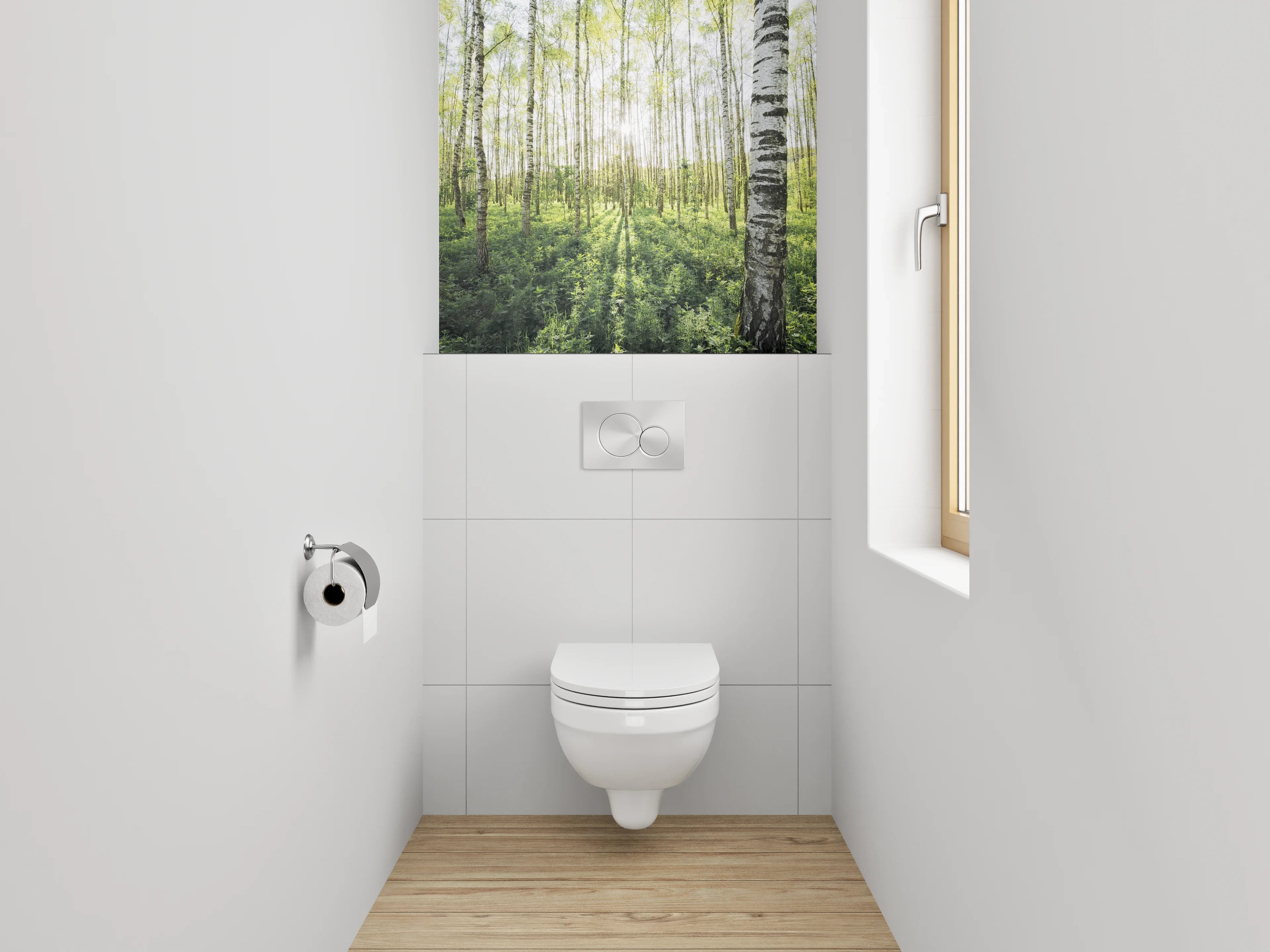 WC-Rückwand - Sonnendurchfluteter Birkenwald Naturmotiv