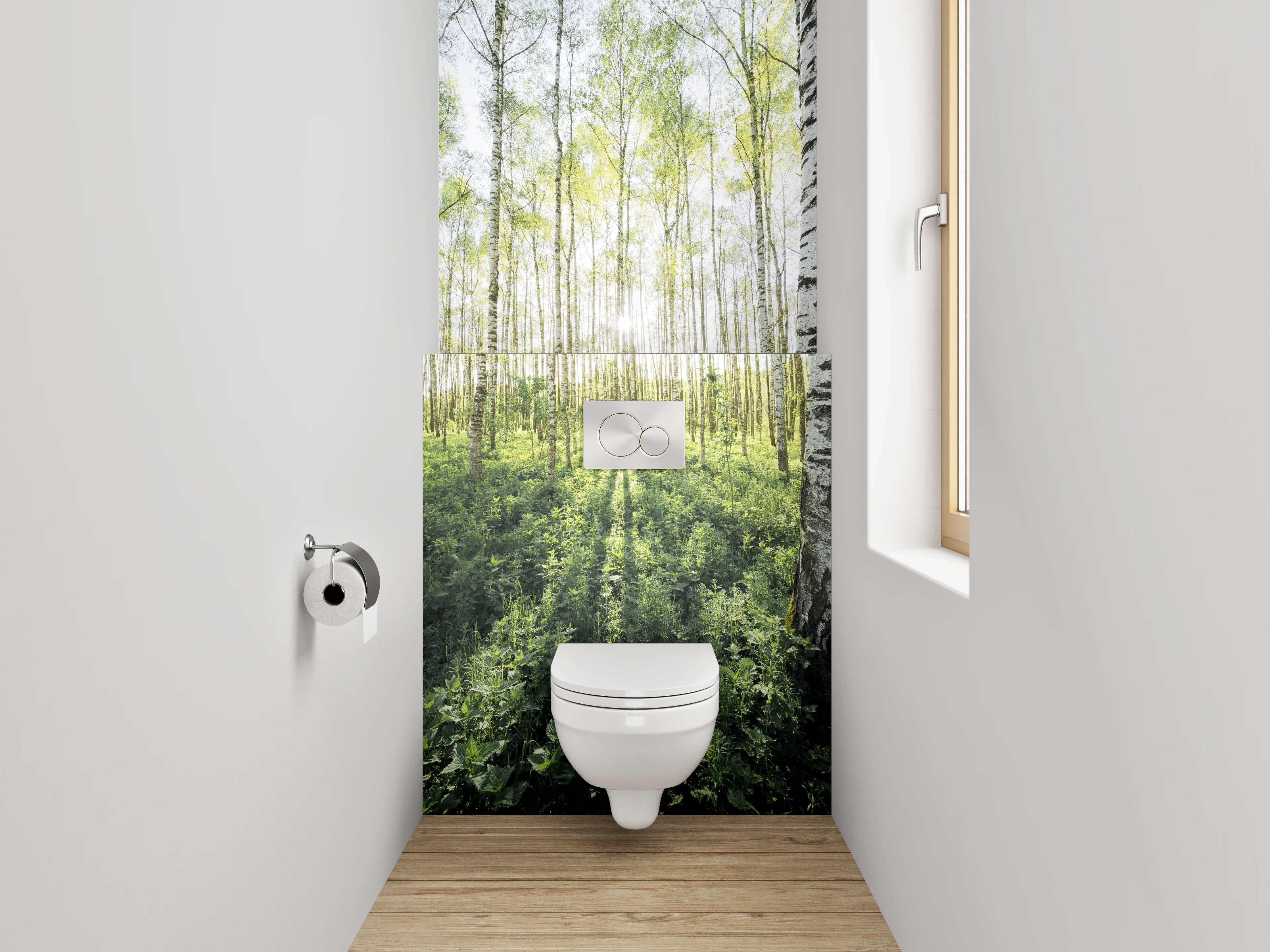 WC-Rückwand - Sonnendurchfluteter Birkenwald Naturmotiv