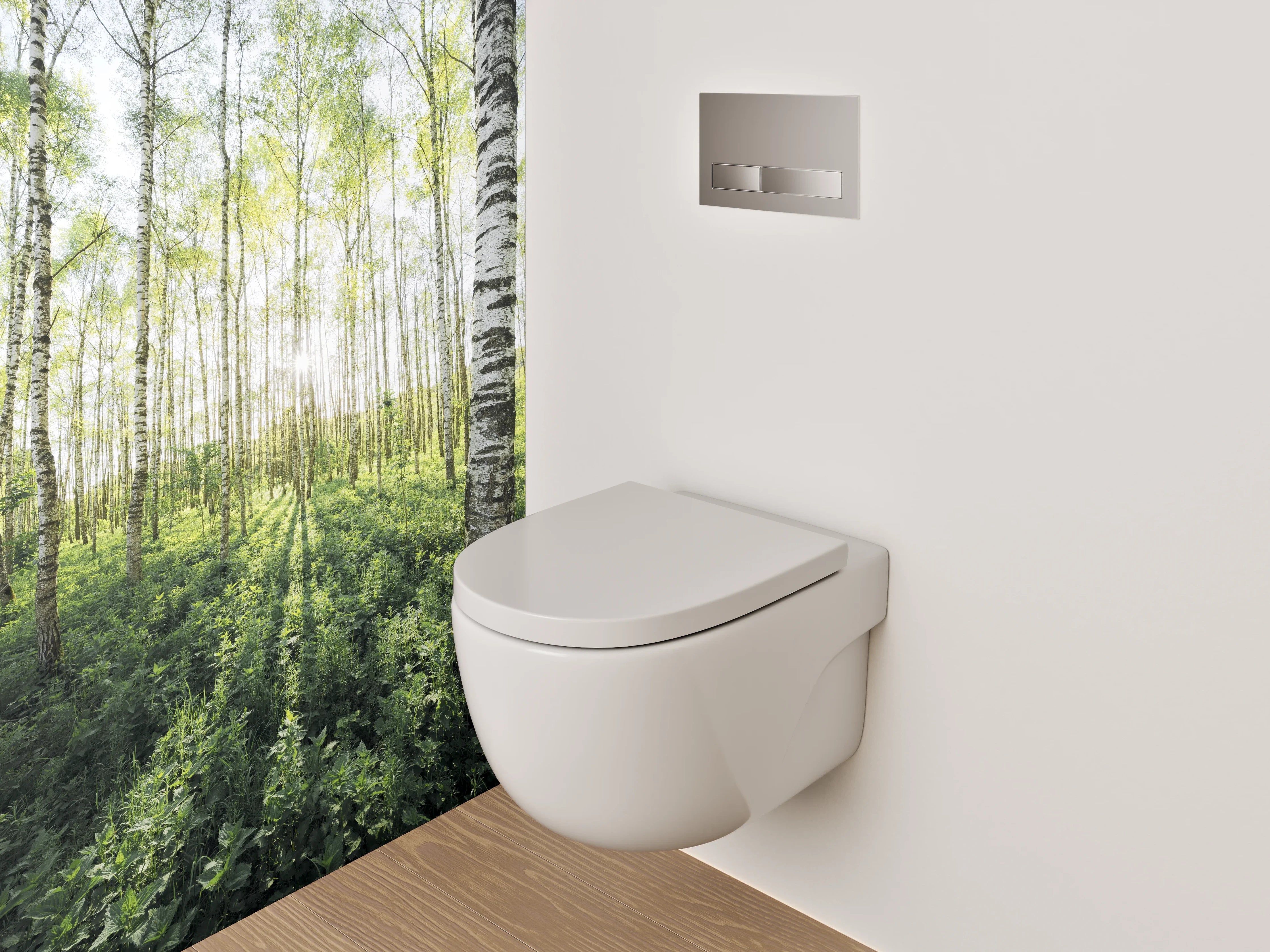 WC-Rückwand - Sonnendurchfluteter Birkenwald Naturmotiv