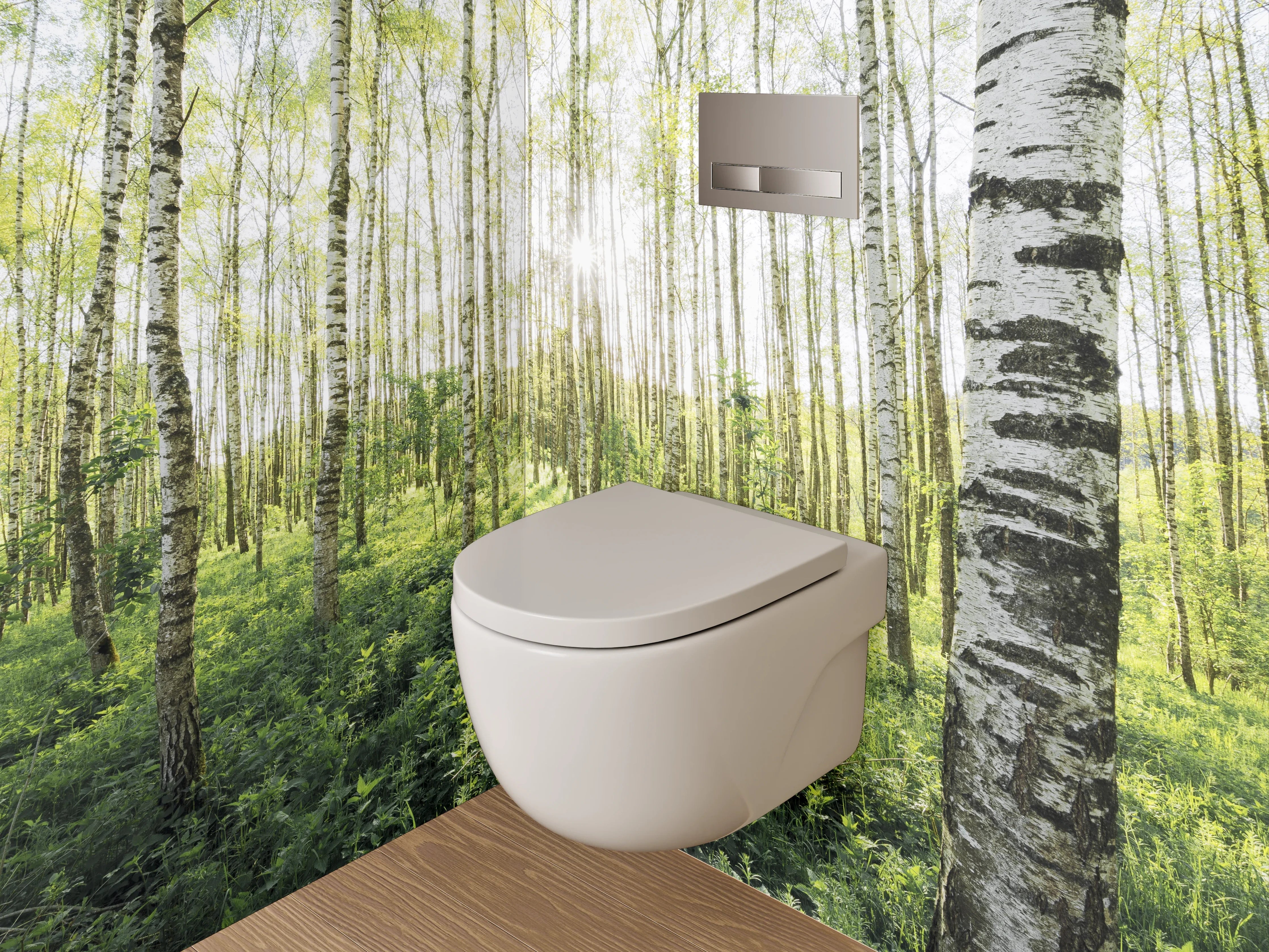 WC-Rückwand - Sonnendurchfluteter Birkenwald Naturmotiv