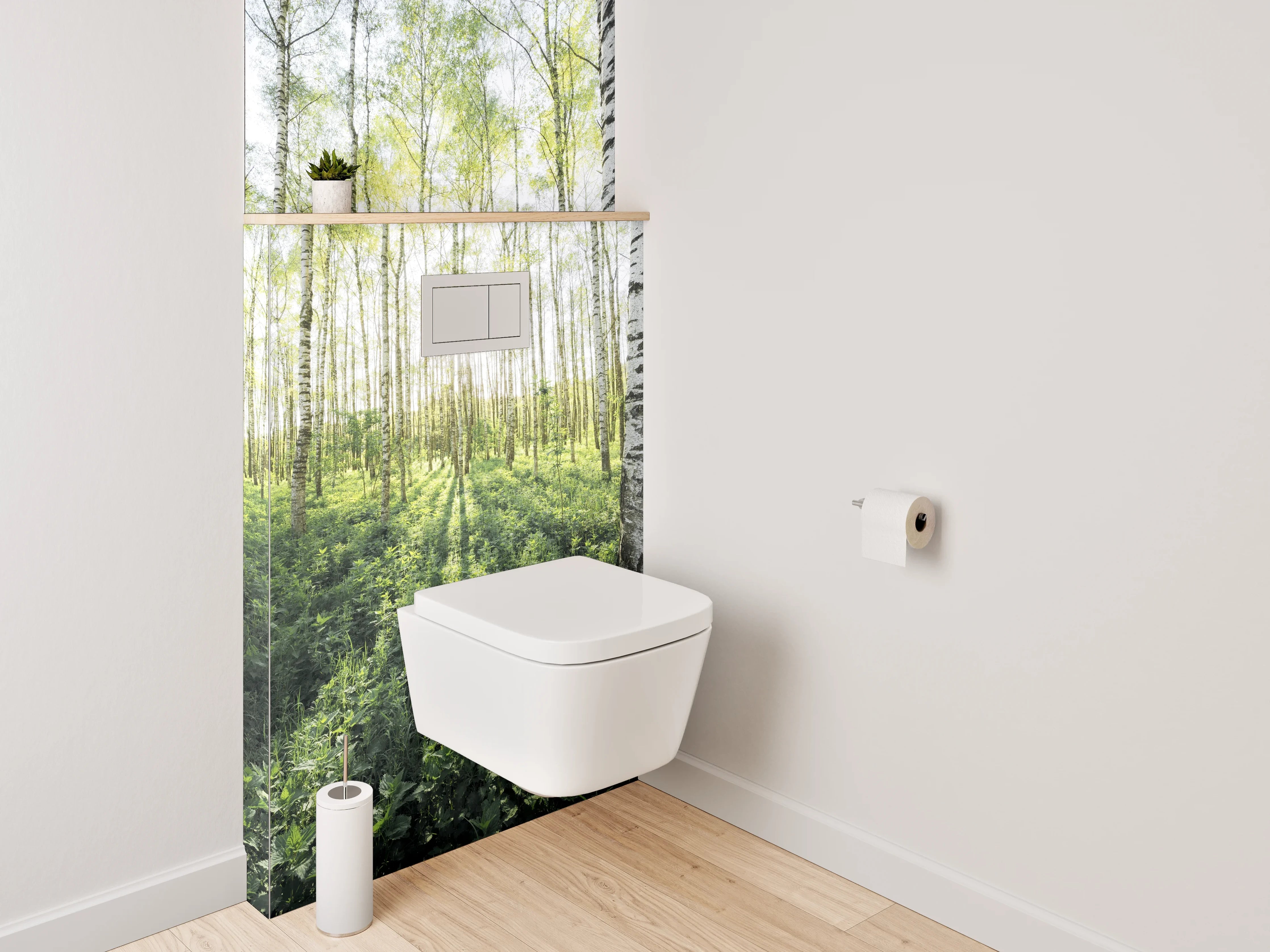 WC-Rückwand - Sonnendurchfluteter Birkenwald Naturmotiv