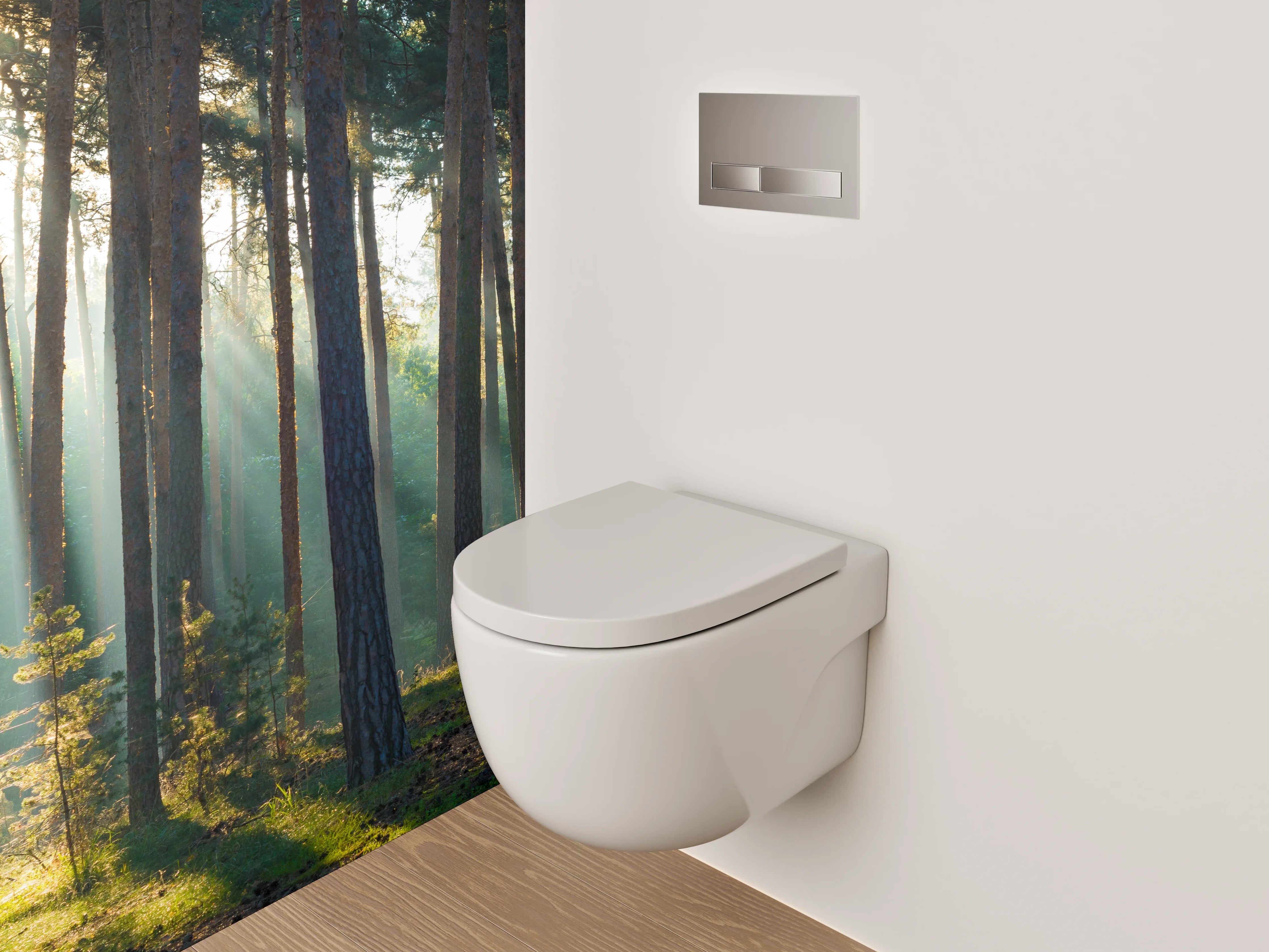 WC-Rückwand - Sonnenstrahlen im ruhigen Kiefernwald