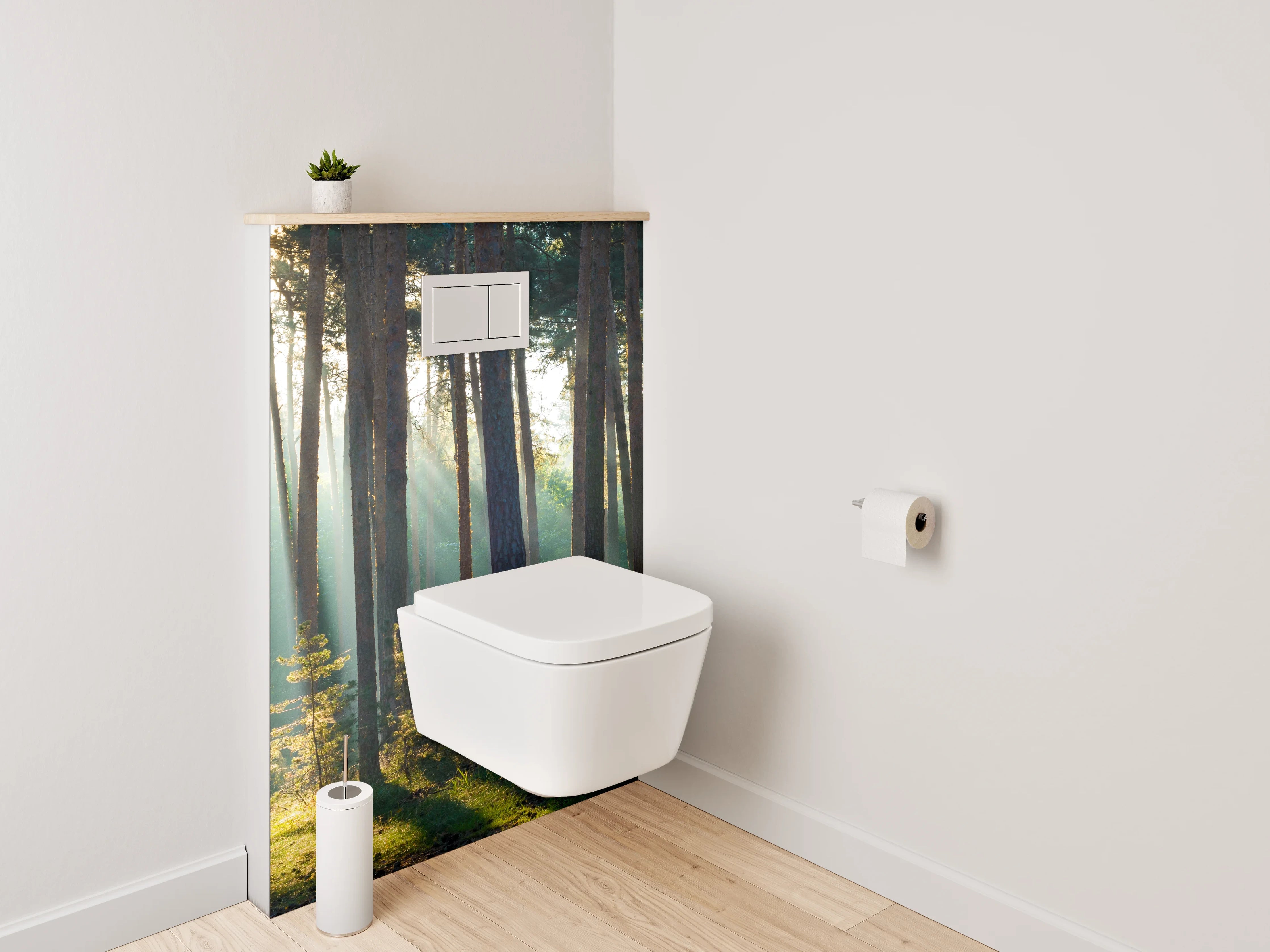 WC-Rückwand - Sonnenstrahlen im ruhigen Kiefernwald