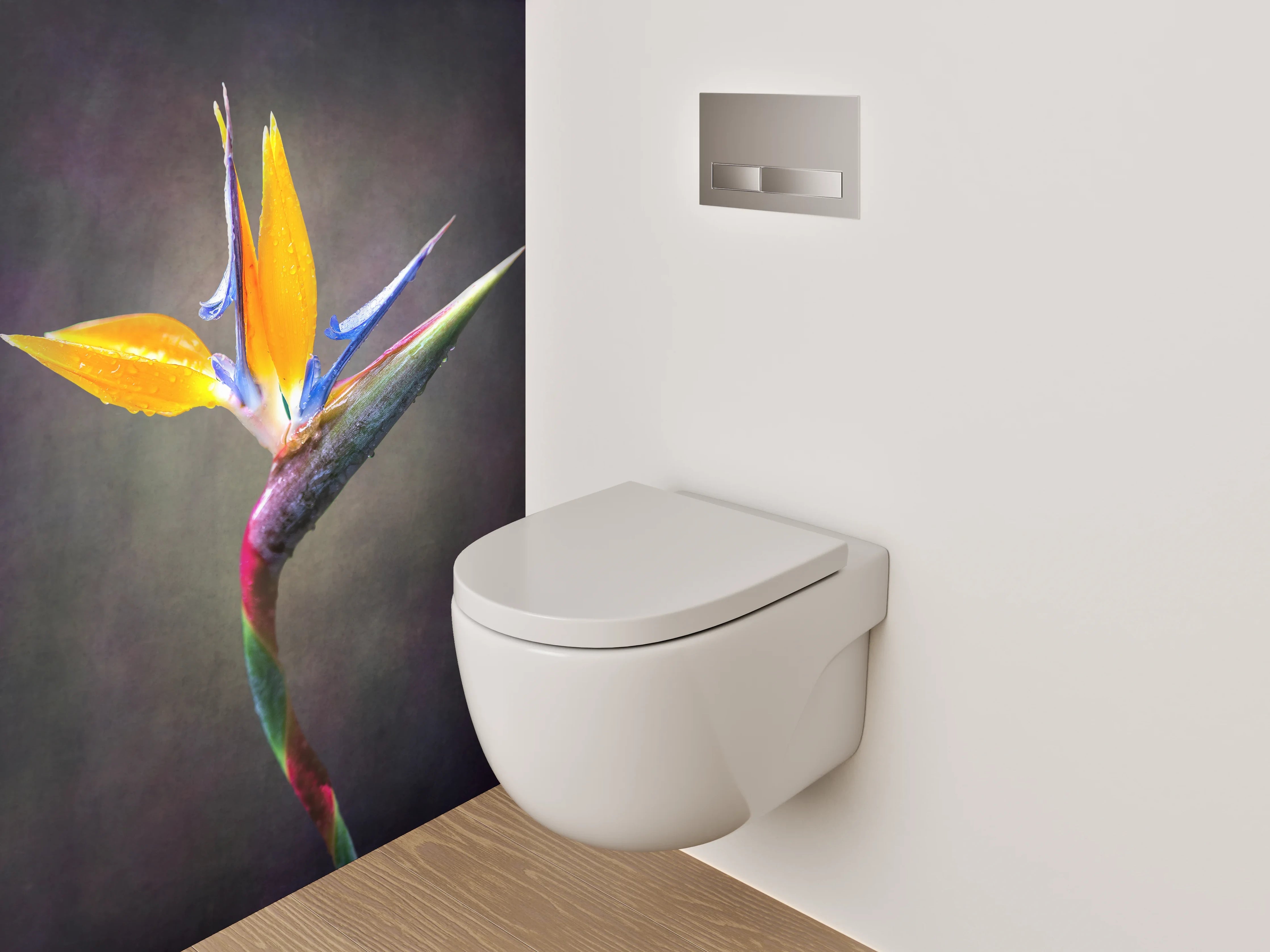 WC-Rückwand - Strelitzienblüte Tropisch Blume Foto