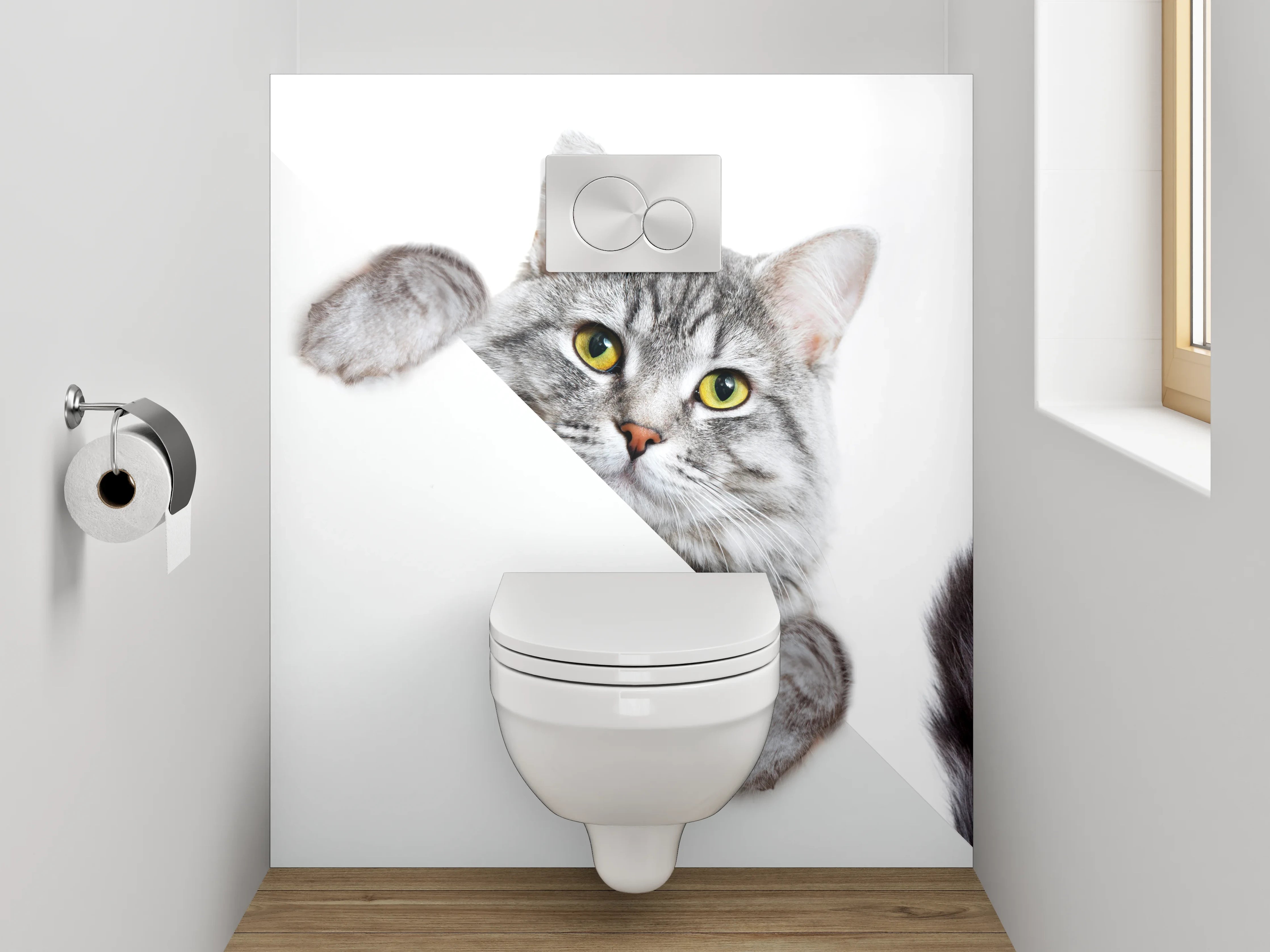 WC-Rückwand - Süße graue Katze auf Weiß