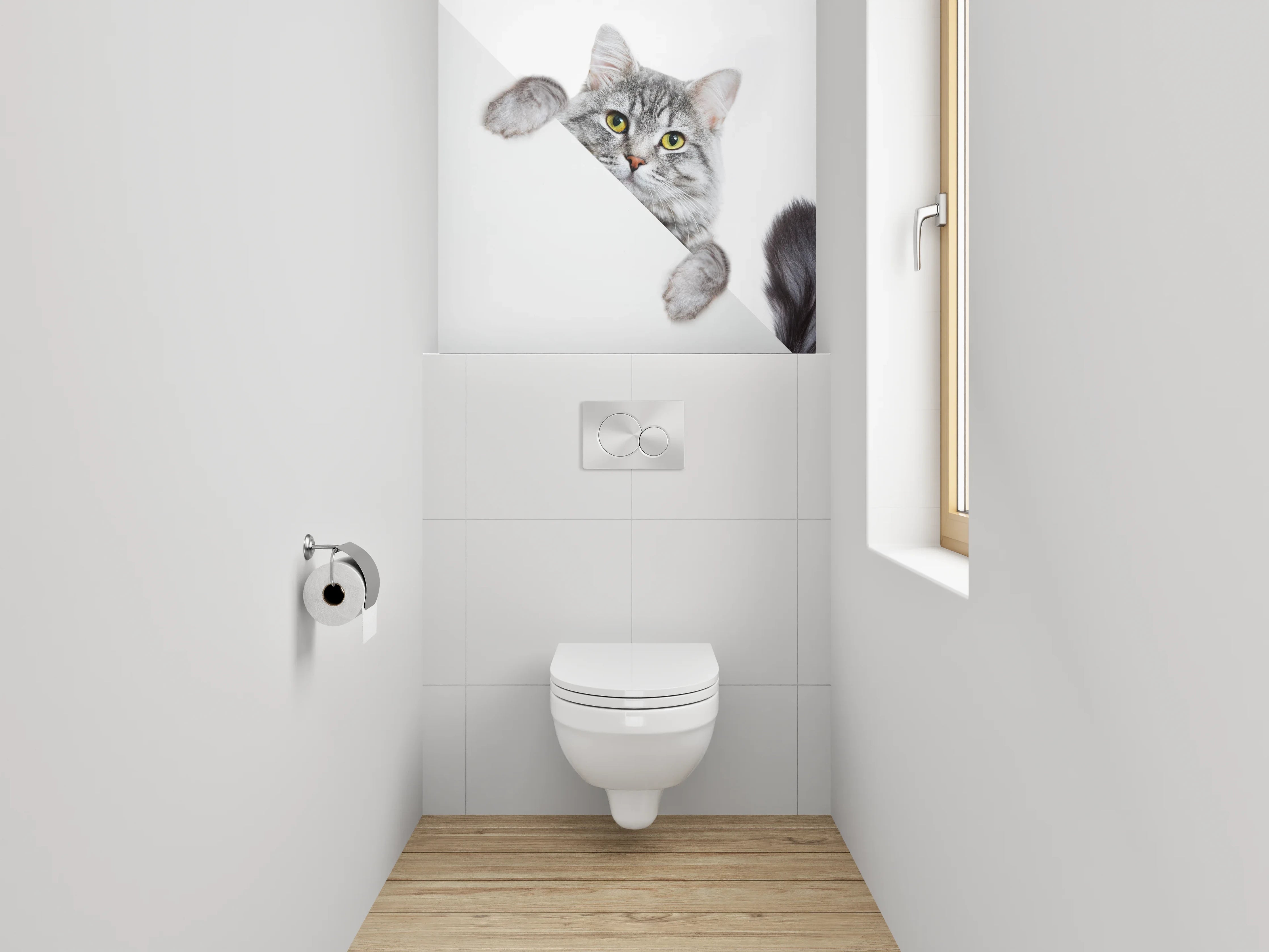WC-Rückwand - Süße graue Katze auf Weiß