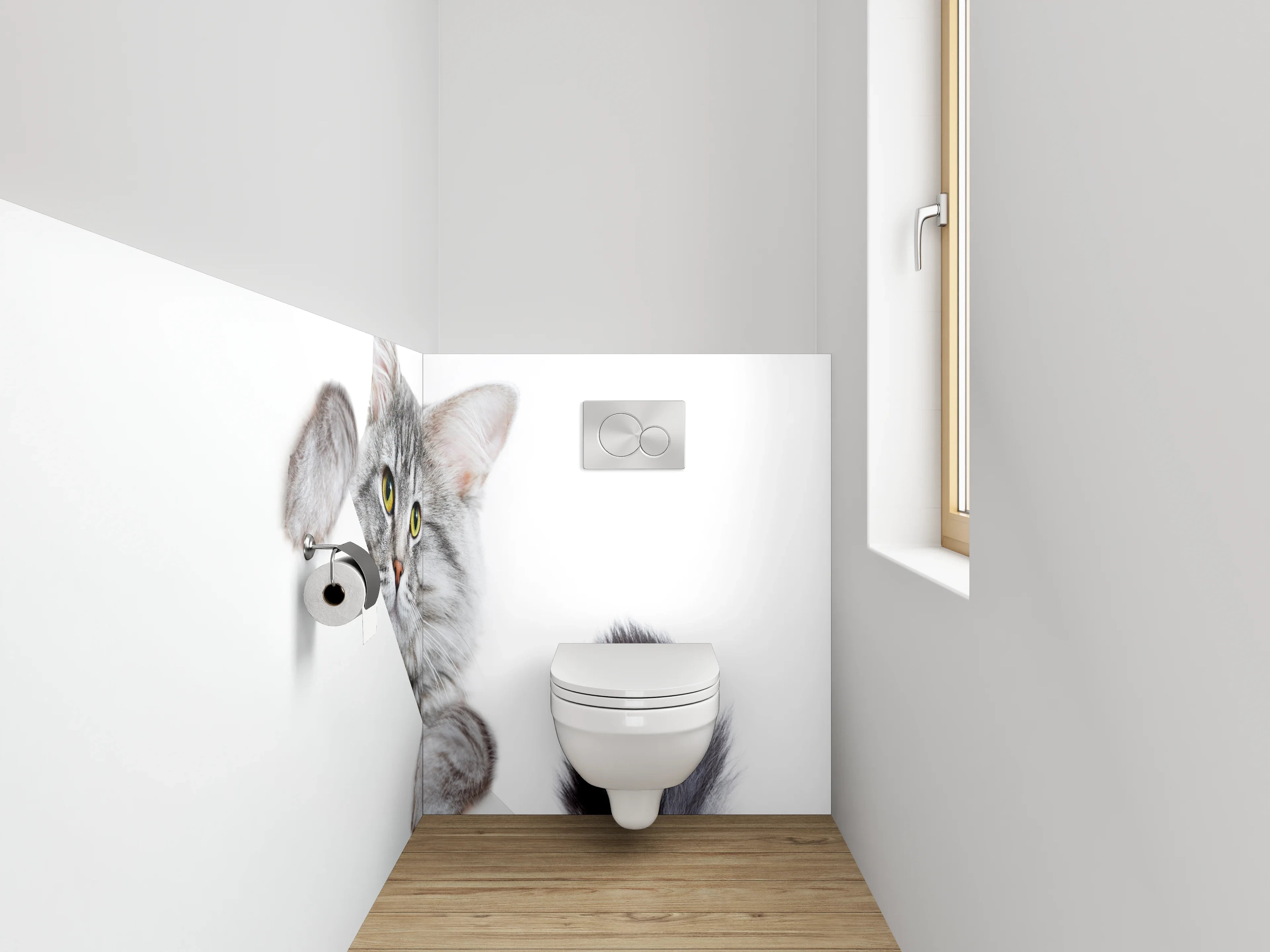WC-Rückwand - Süße graue Katze auf Weiß
