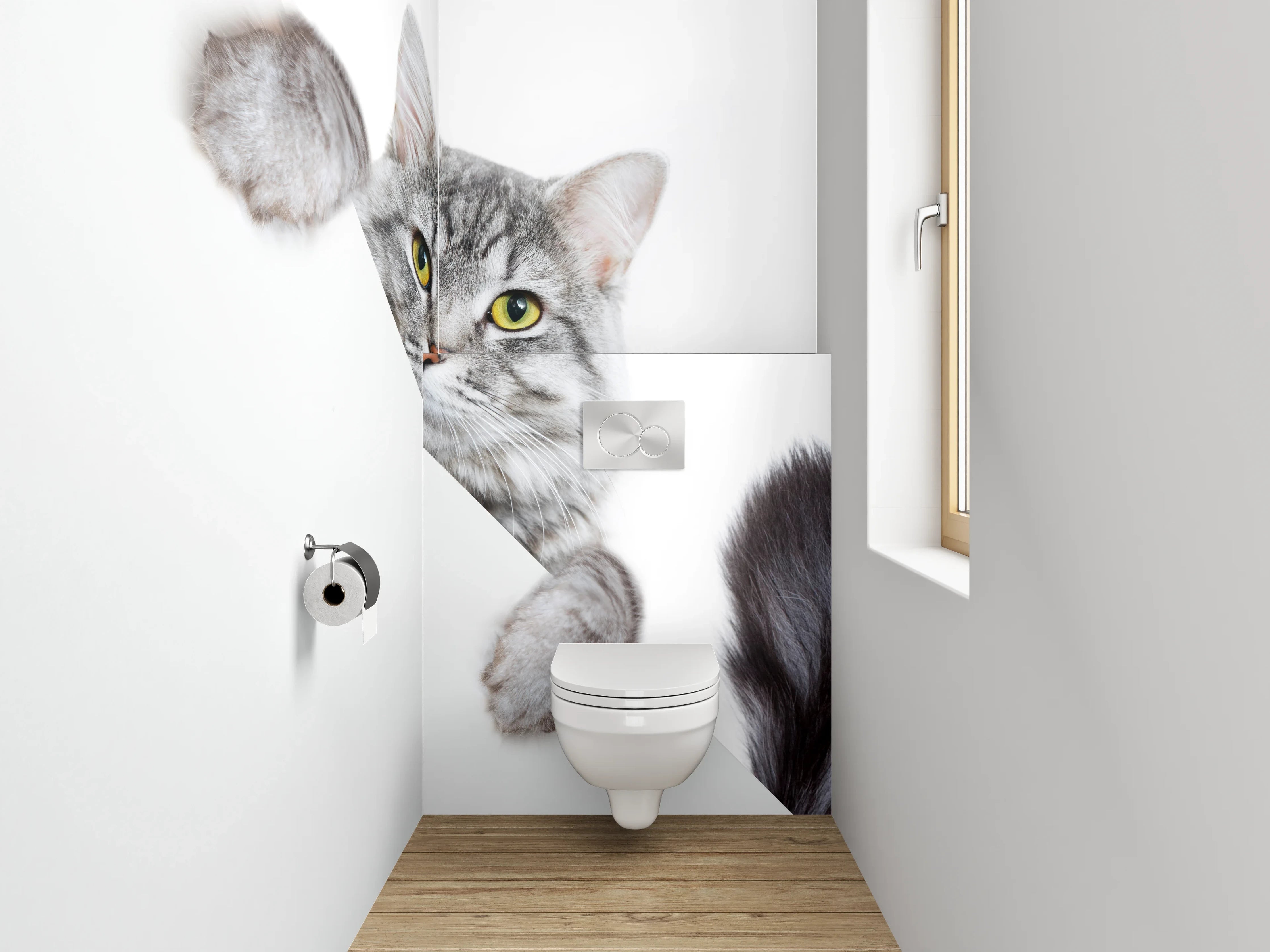 WC-Rückwand - Süße graue Katze auf Weiß