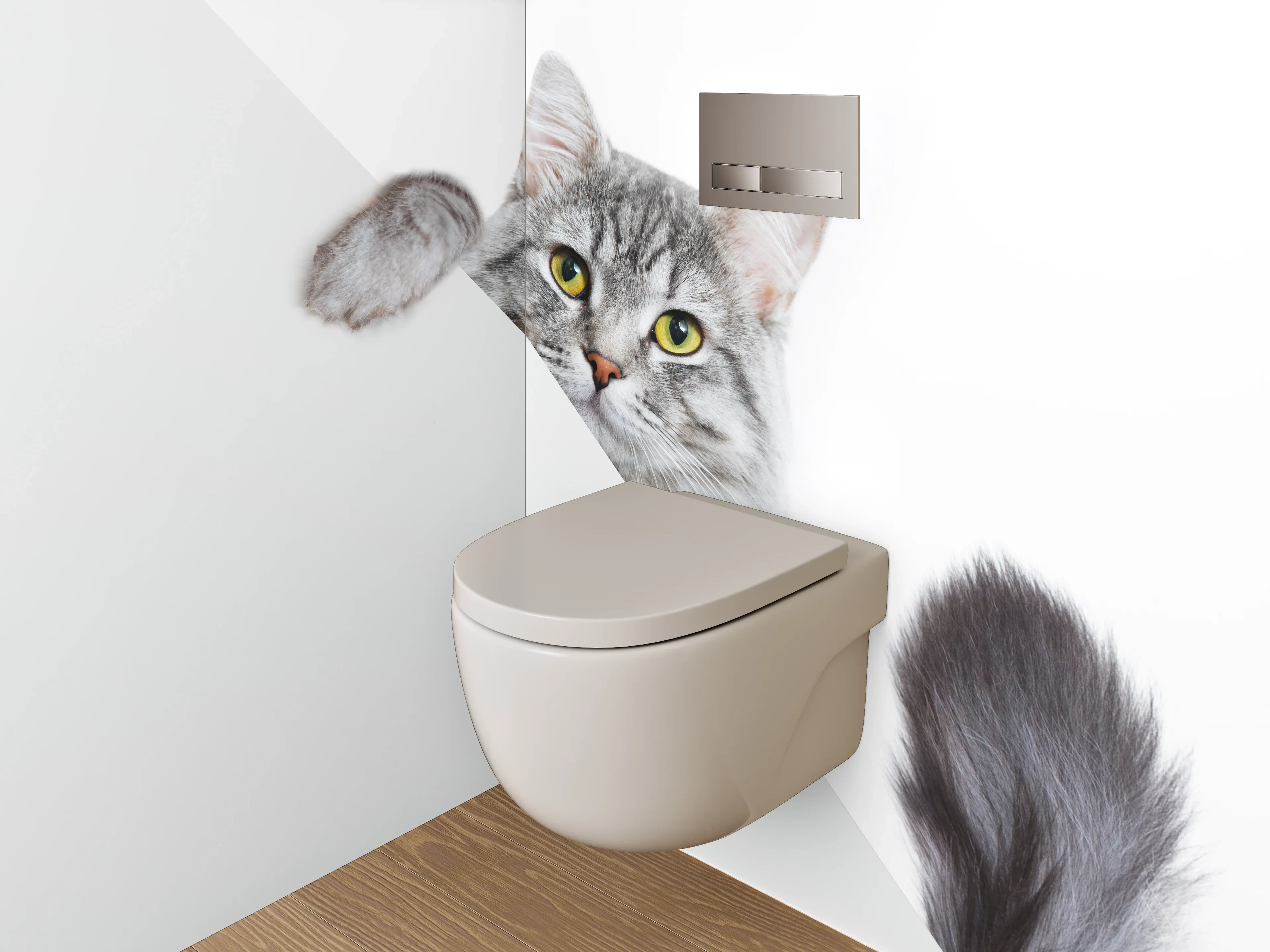 WC-Rückwand - Süße graue Katze auf Weiß