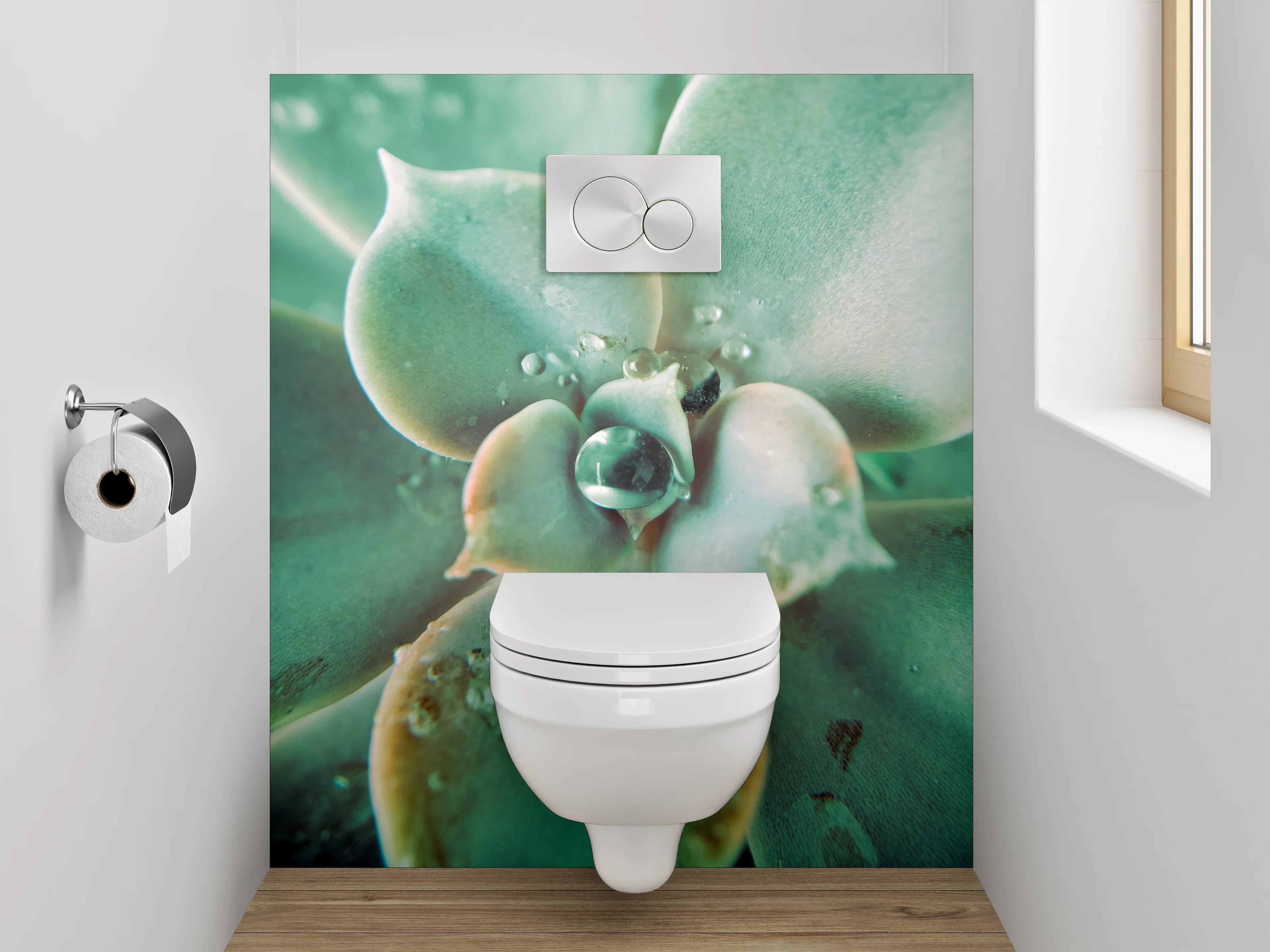 WC-Rückwand - Sukkulente Makro Tropfen Frisch