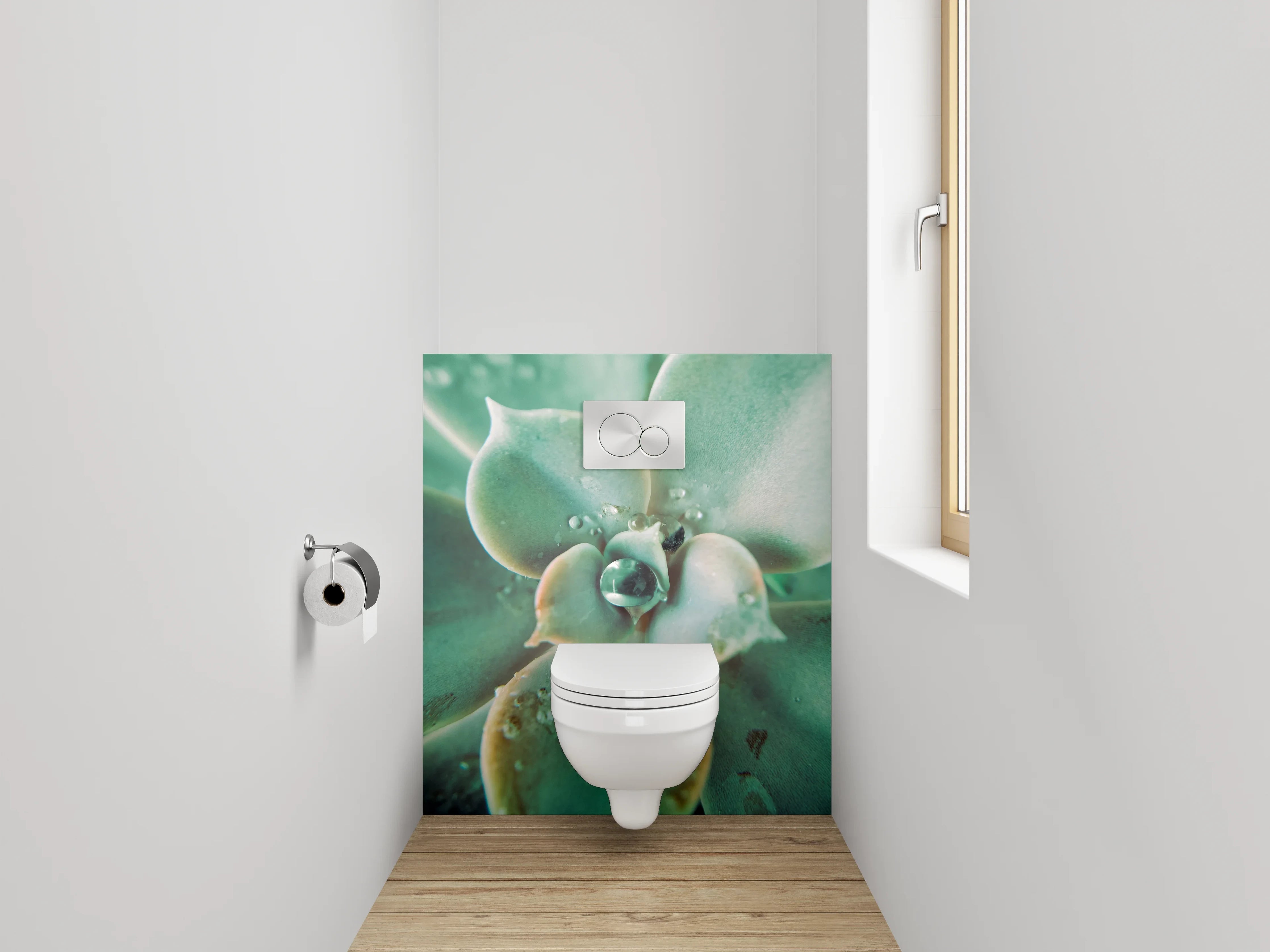 WC-Rückwand - Sukkulente Makro Tropfen Frisch