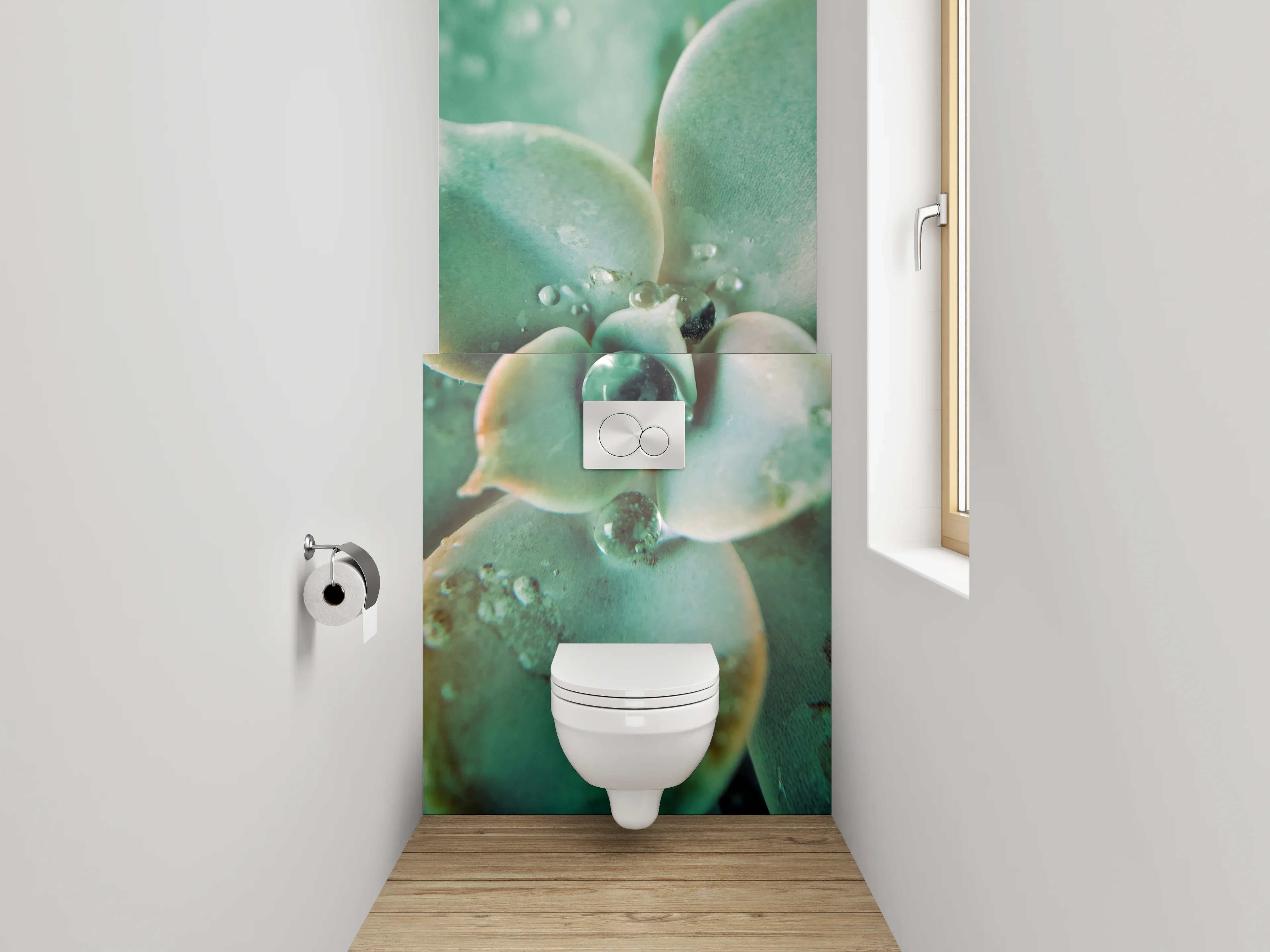 WC-Rückwand - Sukkulente Makro Tropfen Frisch