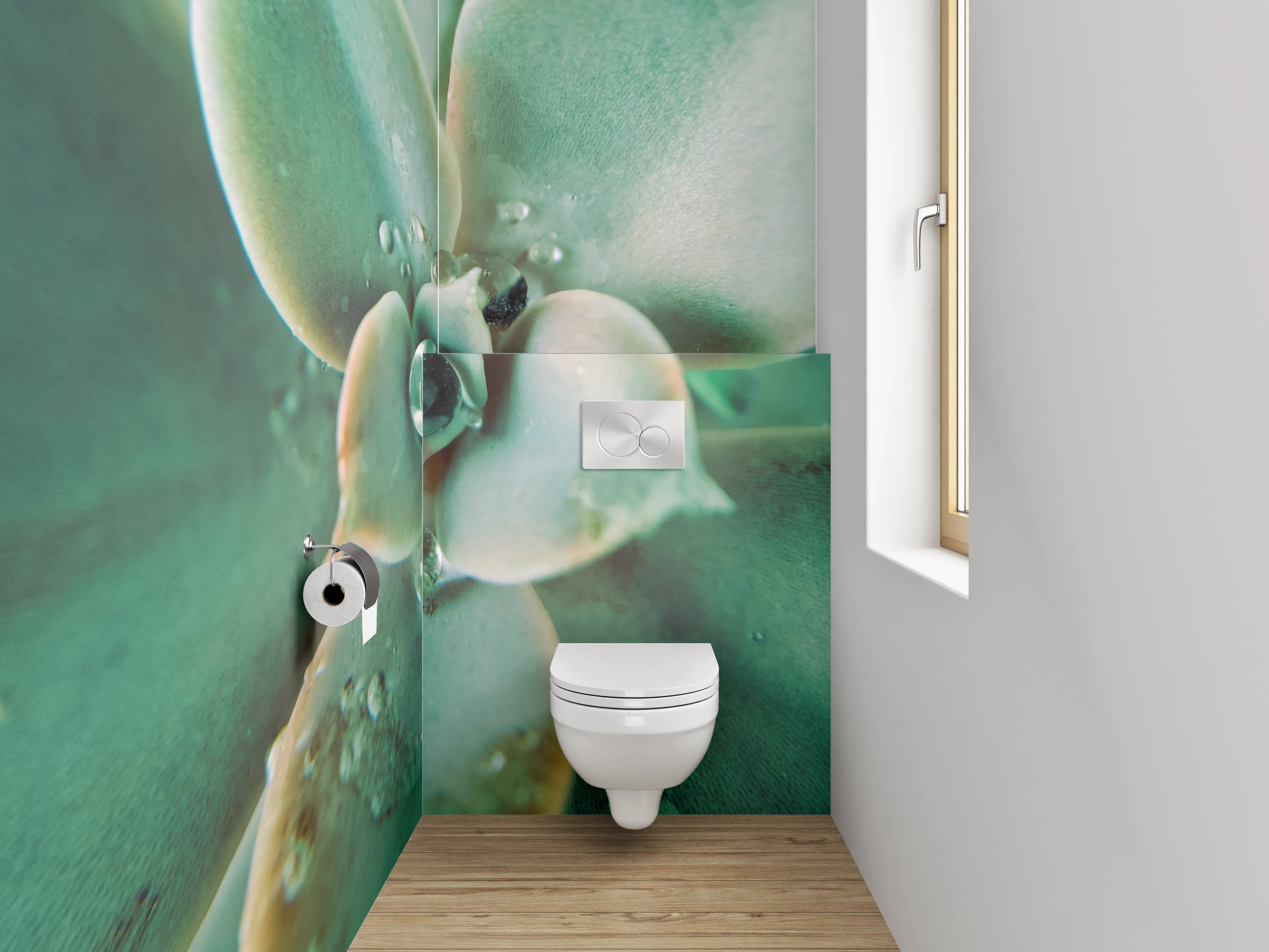 WC-Rückwand - Sukkulente Makro Tropfen Frisch