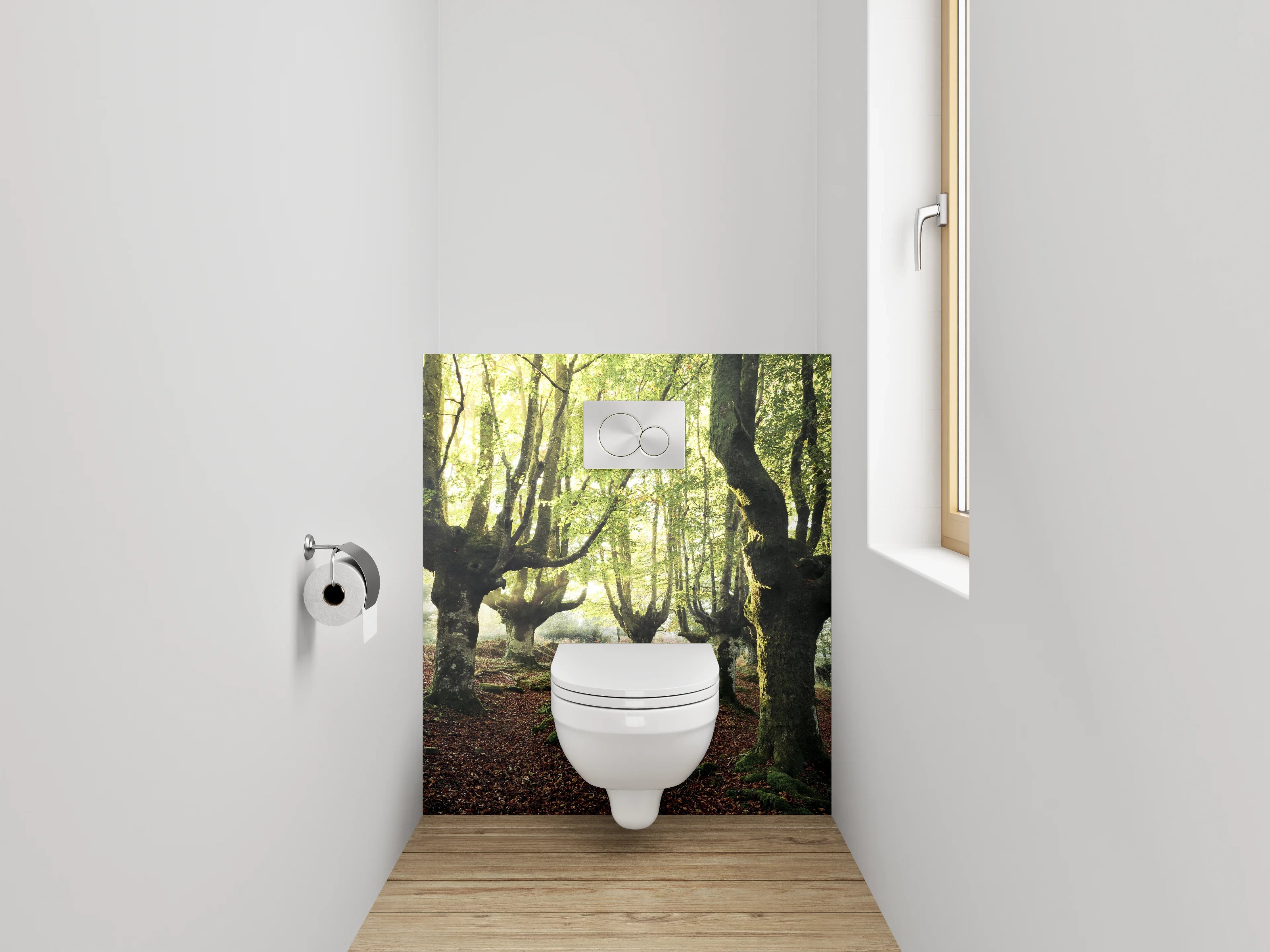 WC-Rückwand - Verzauberter Buchenwald im Morgenlicht
