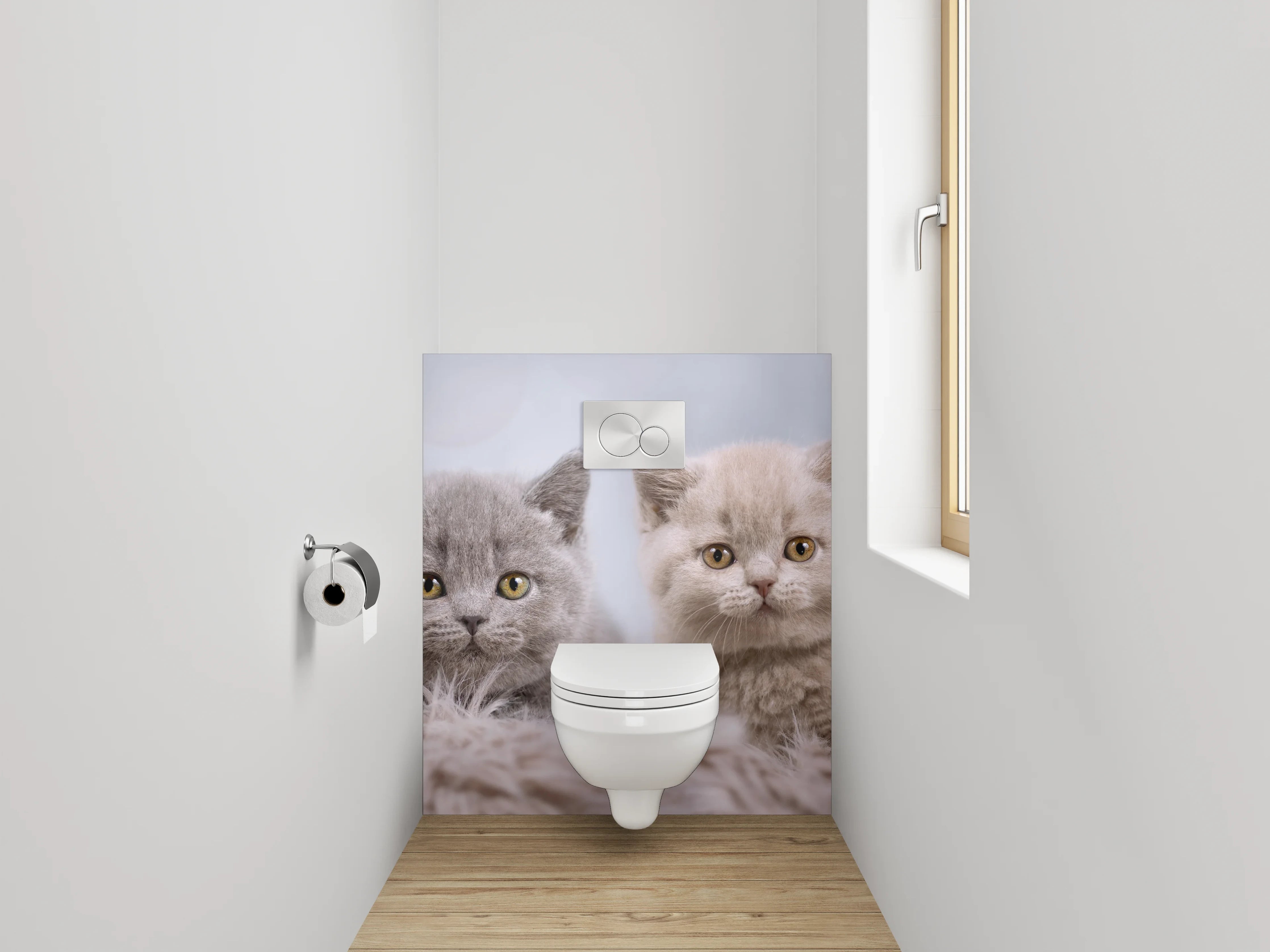 WC-Rückwand - Vier Britisch Kurzhaar Kätzchen süßes Motiv
