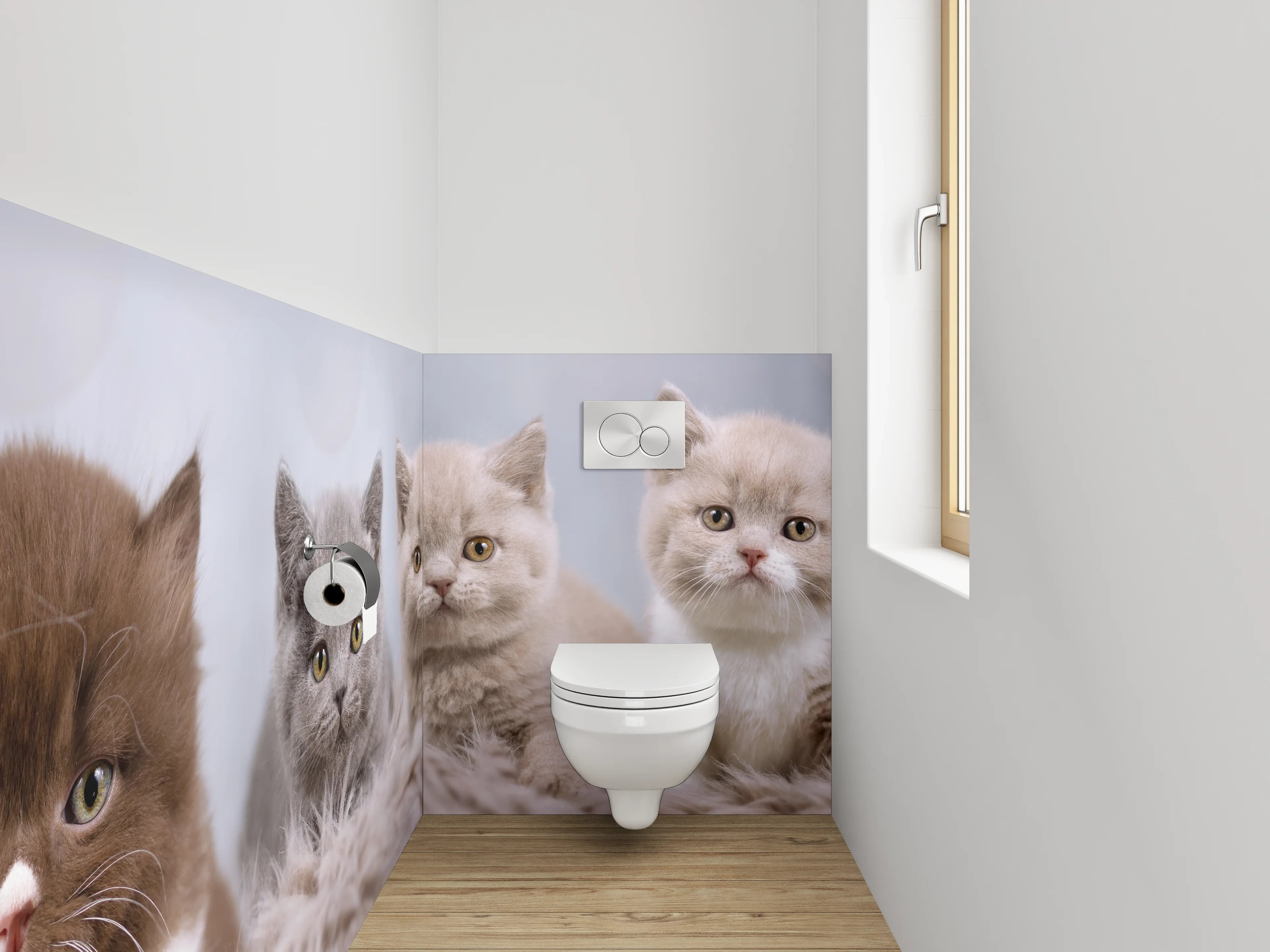 WC-Rückwand - Vier Britisch Kurzhaar Kätzchen süßes Motiv