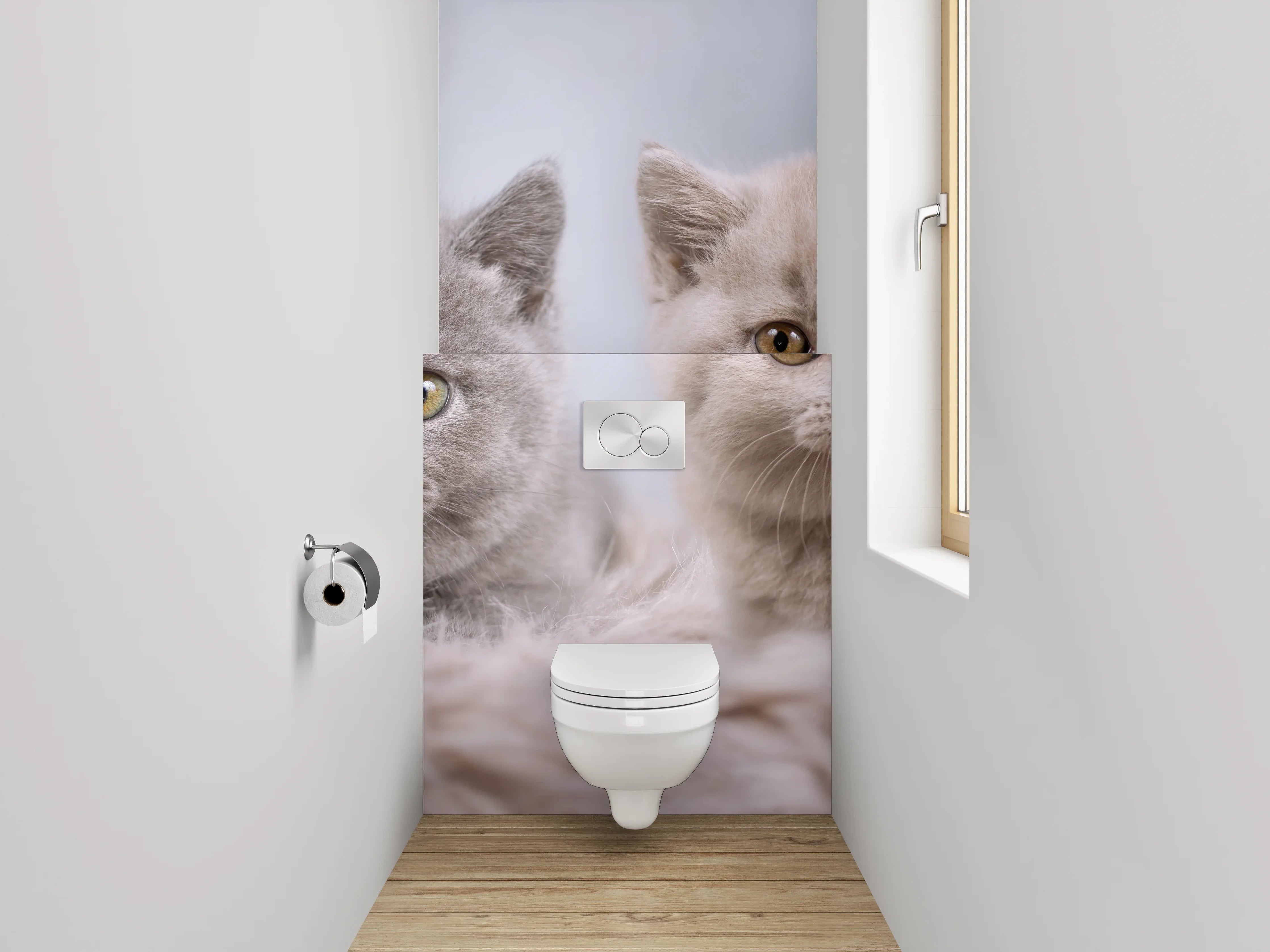 WC-Rückwand - Vier Britisch Kurzhaar Kätzchen süßes Motiv