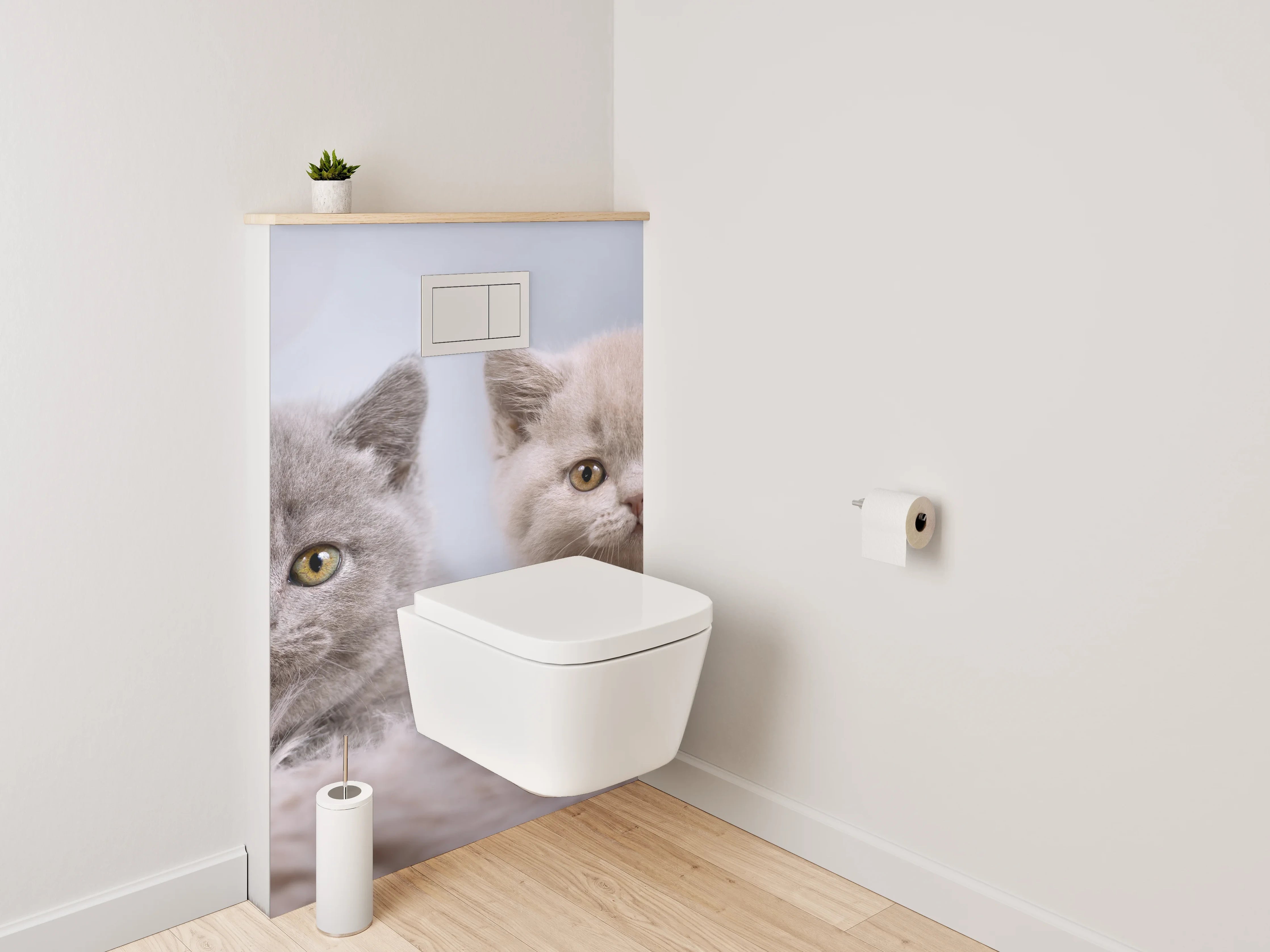 WC-Rückwand - Vier Britisch Kurzhaar Kätzchen süßes Motiv