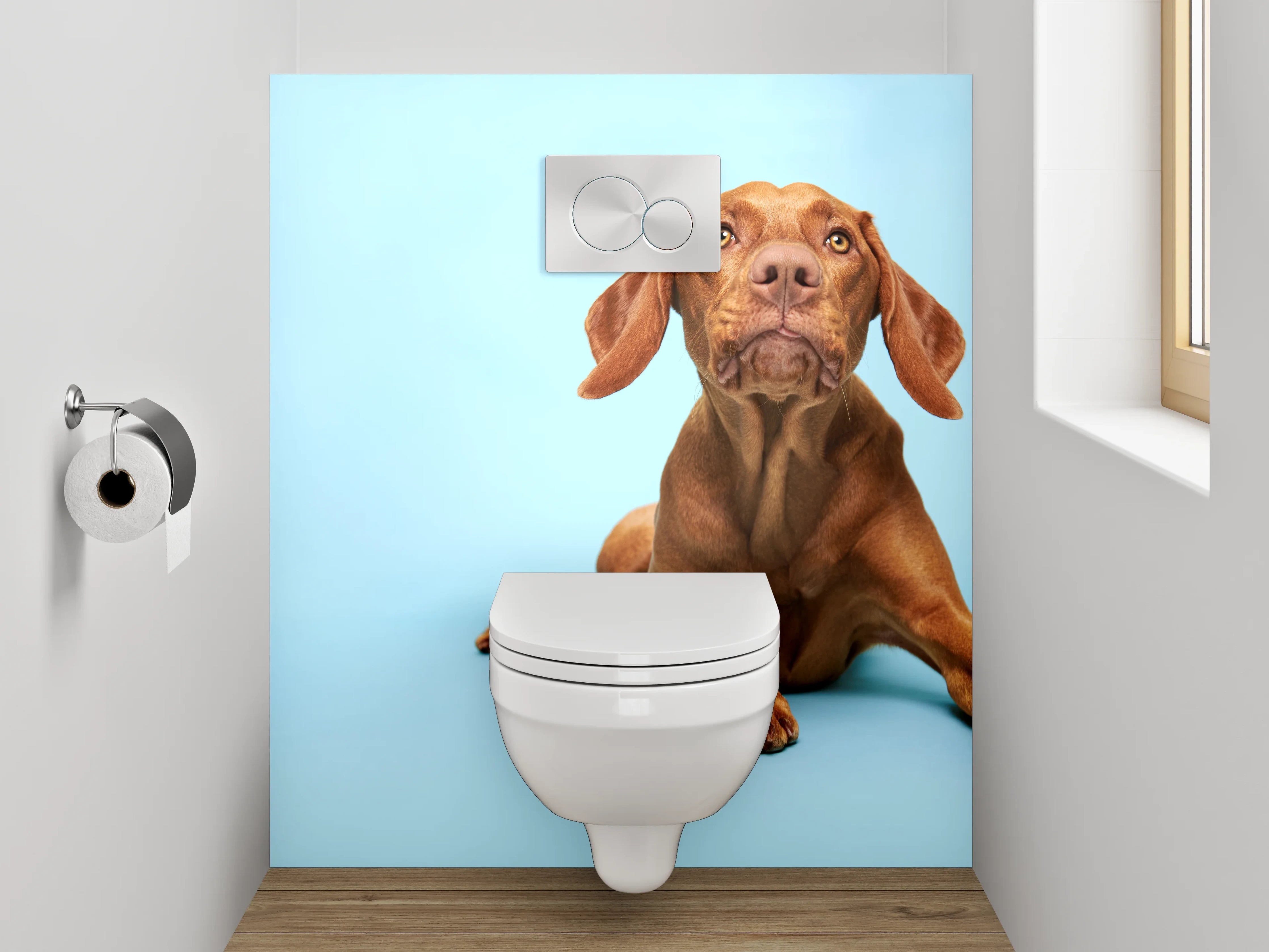 WC-Rückwand - Vizsla Hund auf blauem Hintergrund