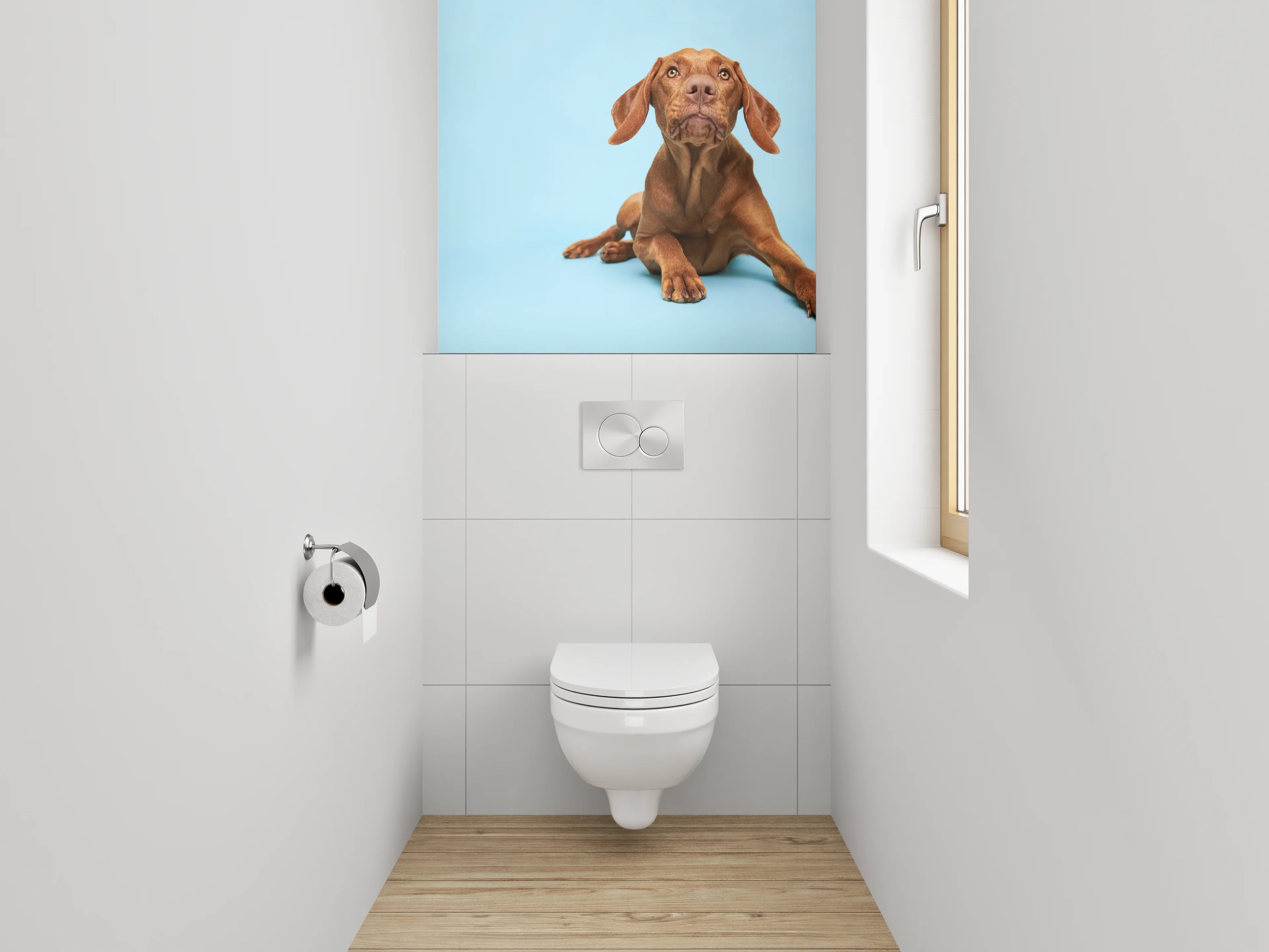 WC-Rückwand - Vizsla Hund auf blauem Hintergrund