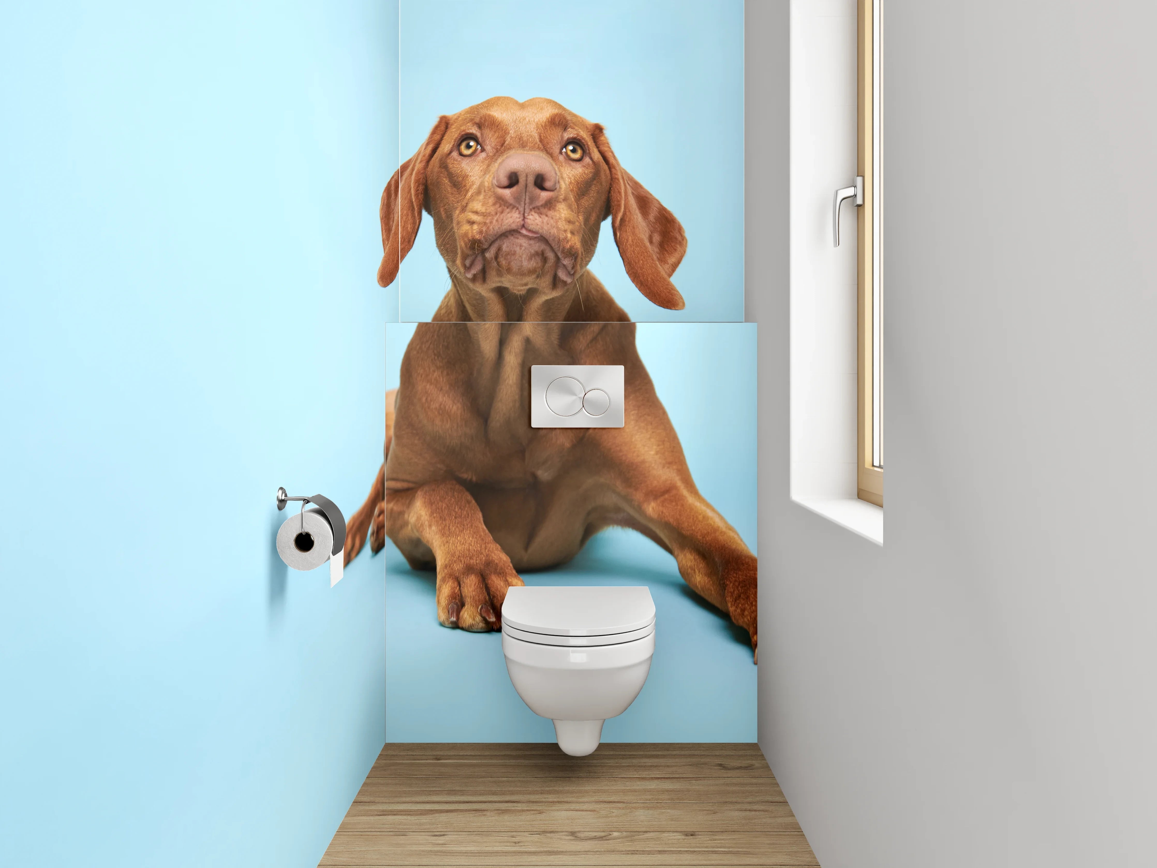 WC-Rückwand - Vizsla Hund auf blauem Hintergrund