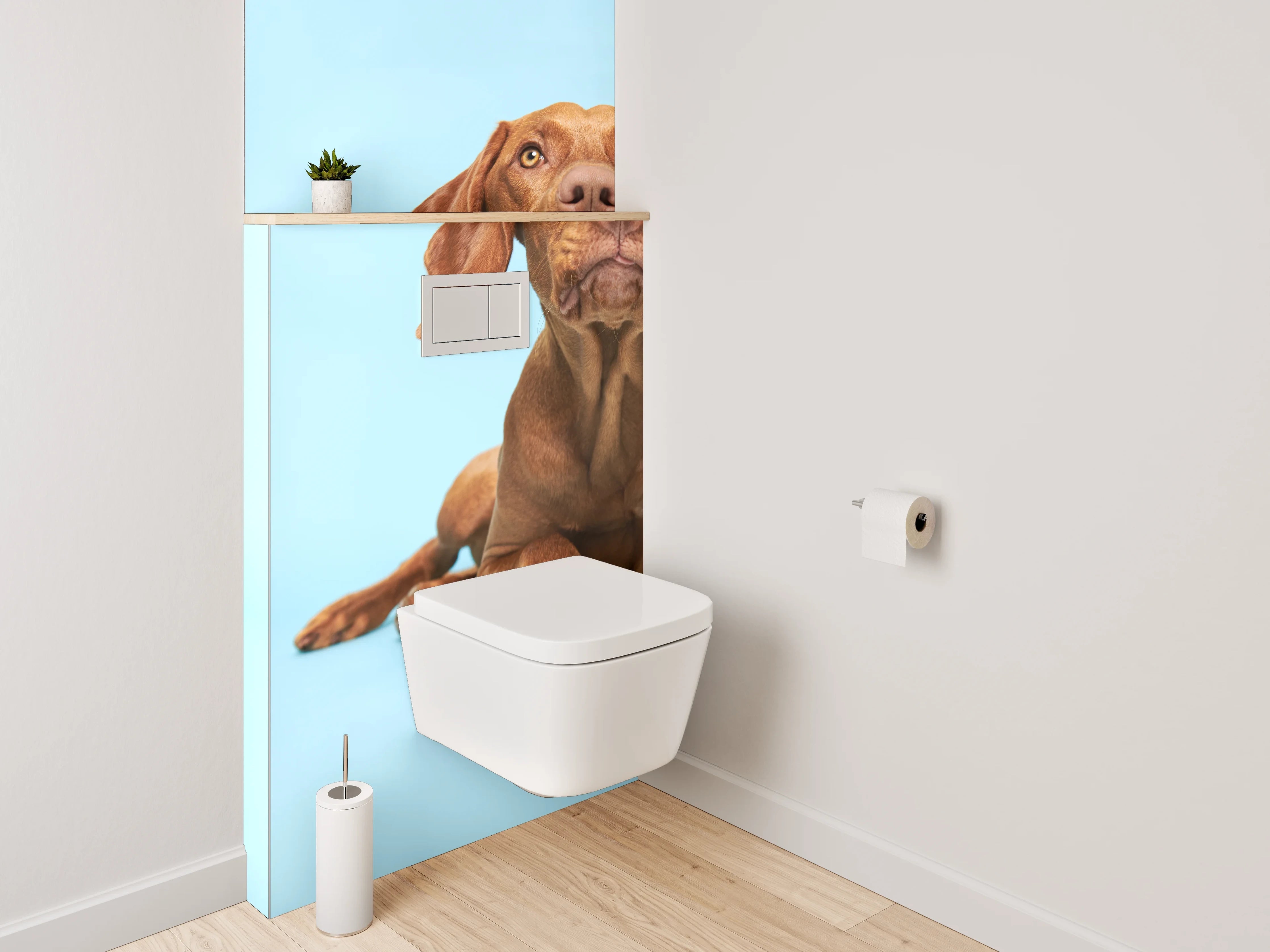 WC-Rückwand - Vizsla Hund auf blauem Hintergrund