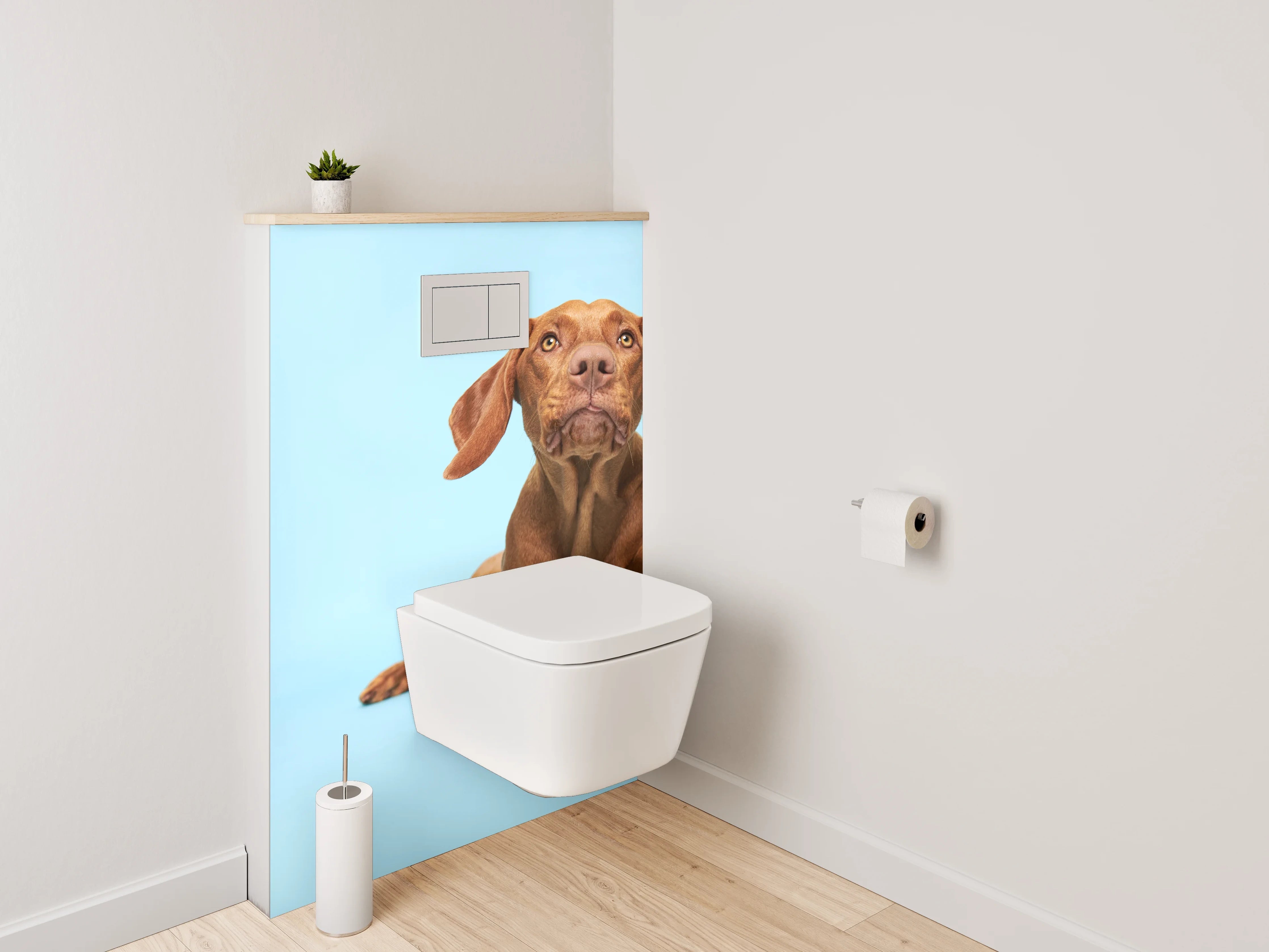 WC-Rückwand - Vizsla Hund auf blauem Hintergrund
