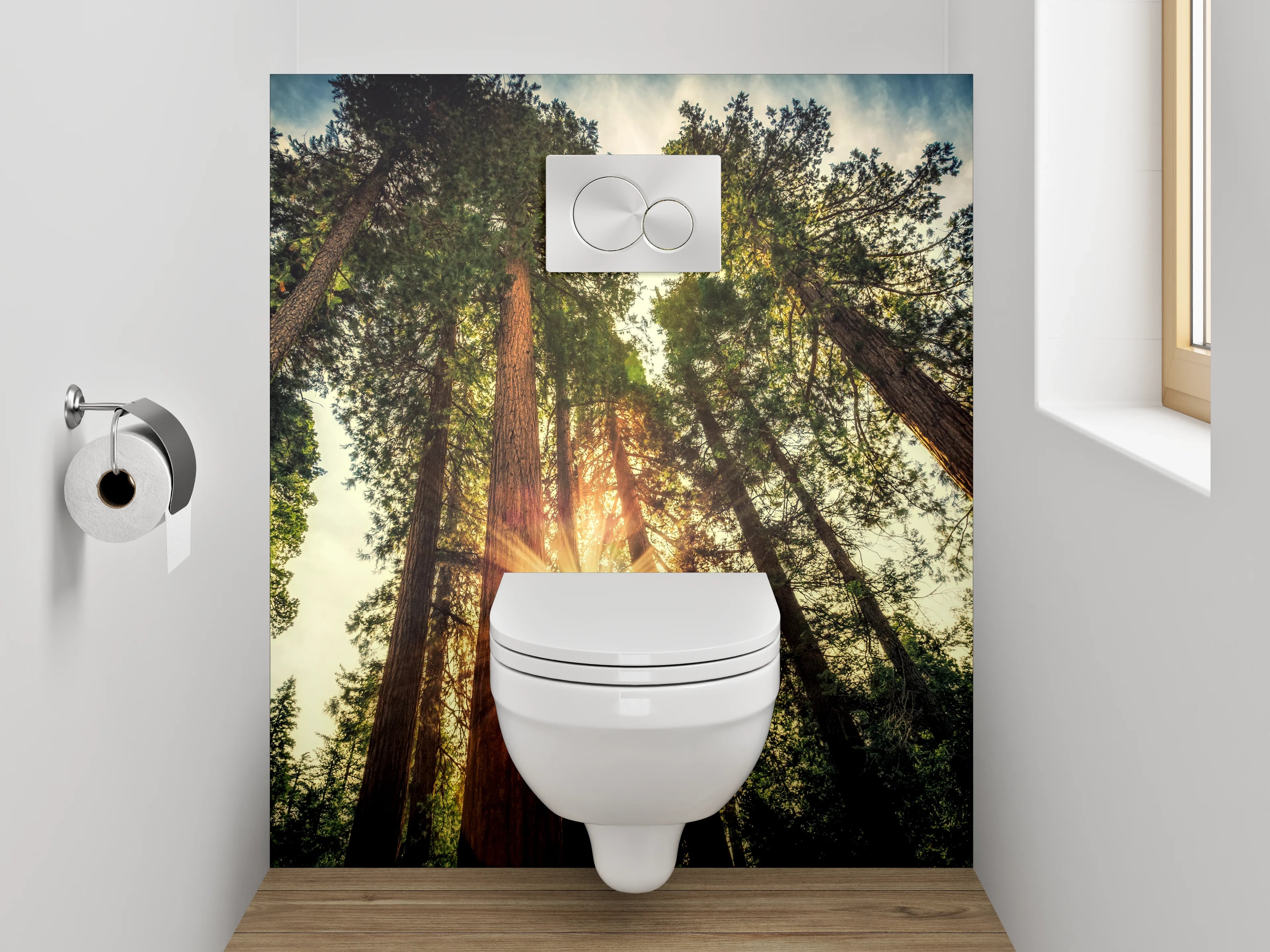 WC-Rückwand - Wald Sonnenstrahlen Natur Panorama