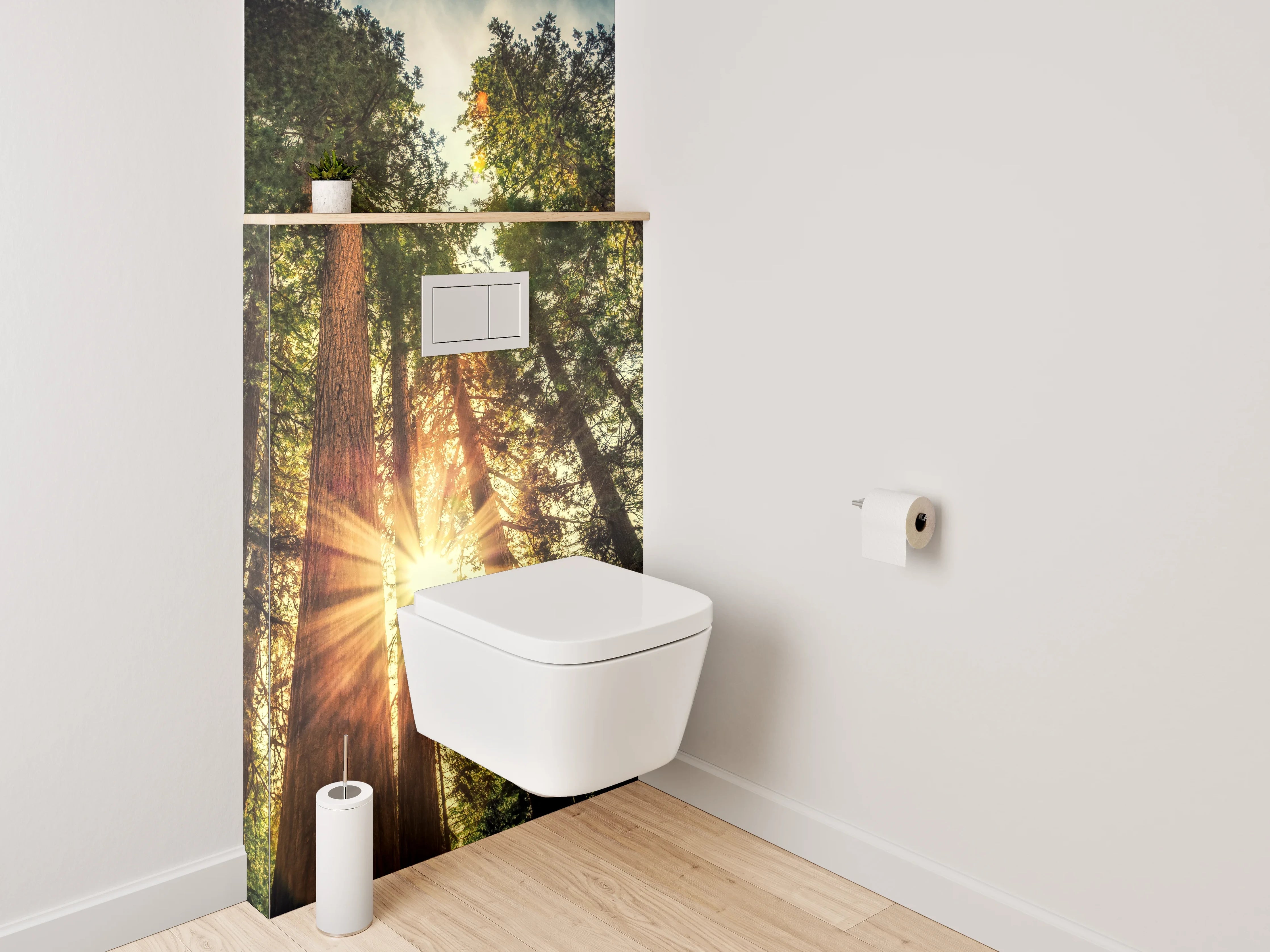 WC-Rückwand - Wald Sonnenstrahlen Natur Panorama