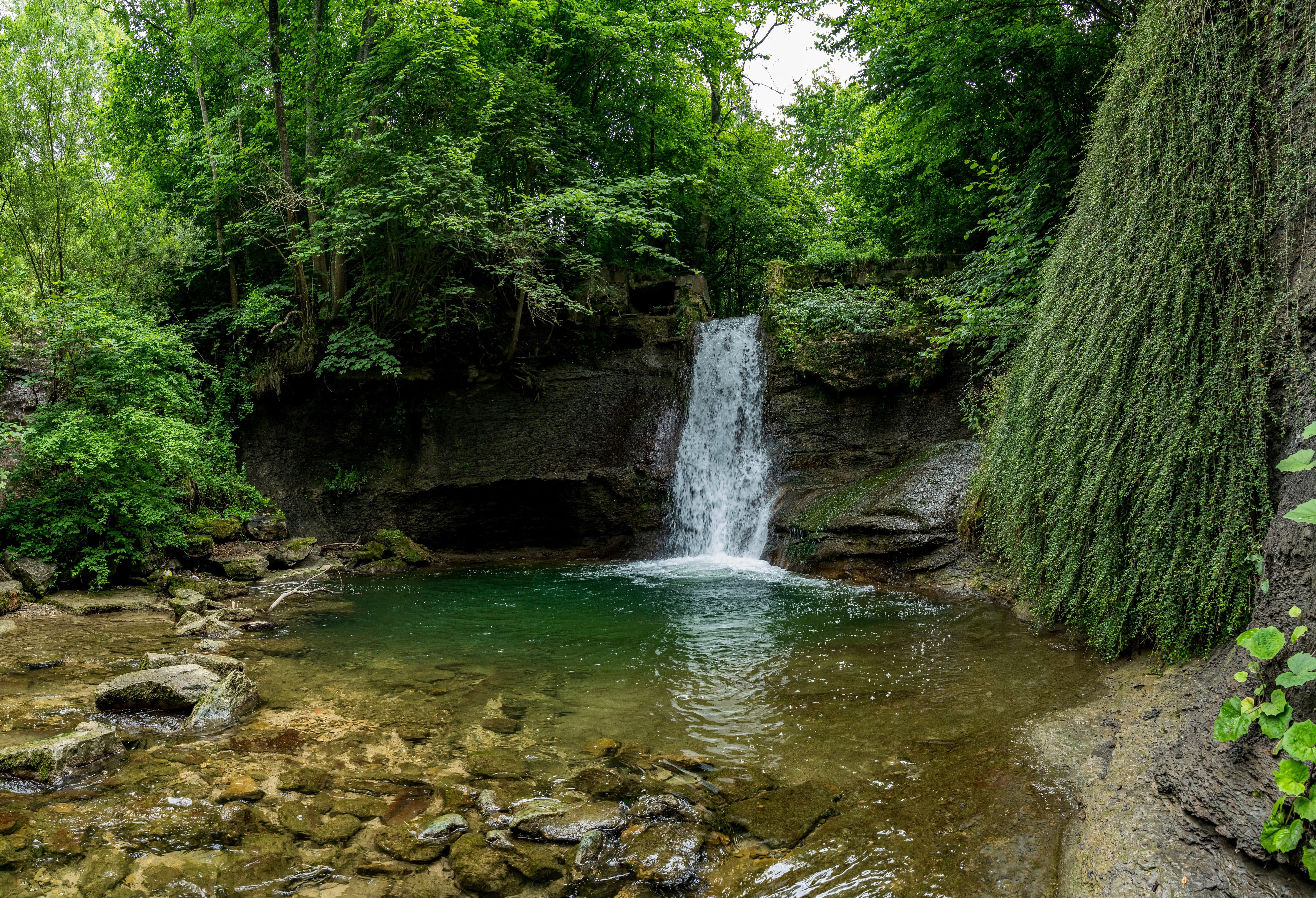 WC-Rückwand-Wasserfall im grünen Wald – Naturidylle