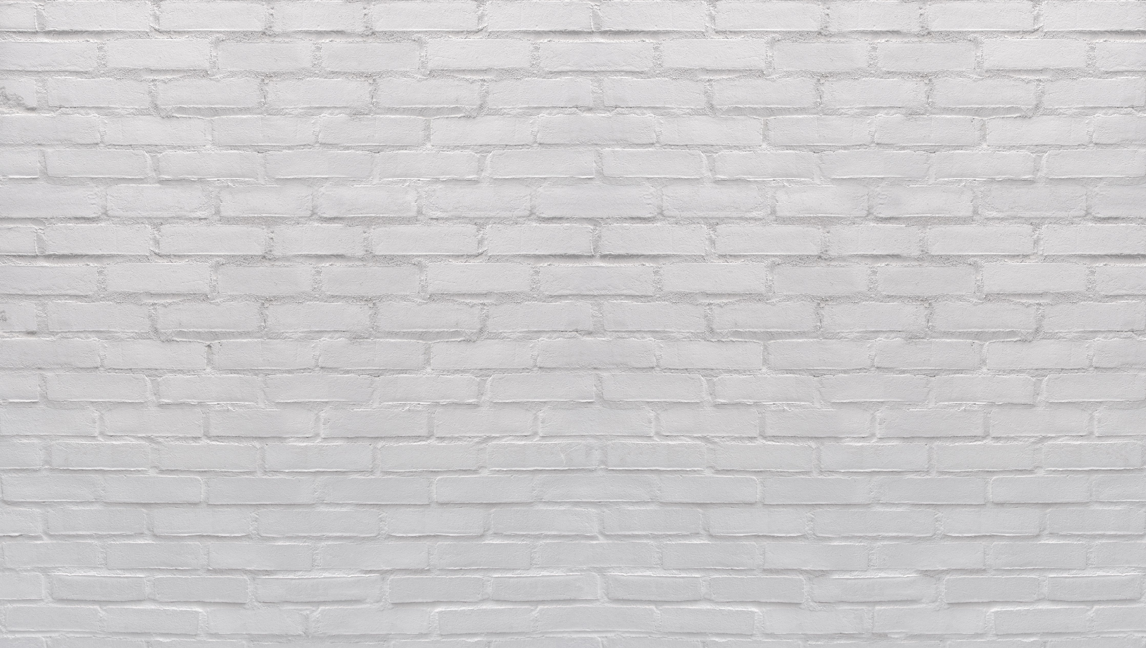 WC-Rückwand-Weiße Backsteinwand Strukturiert Minimalistisch