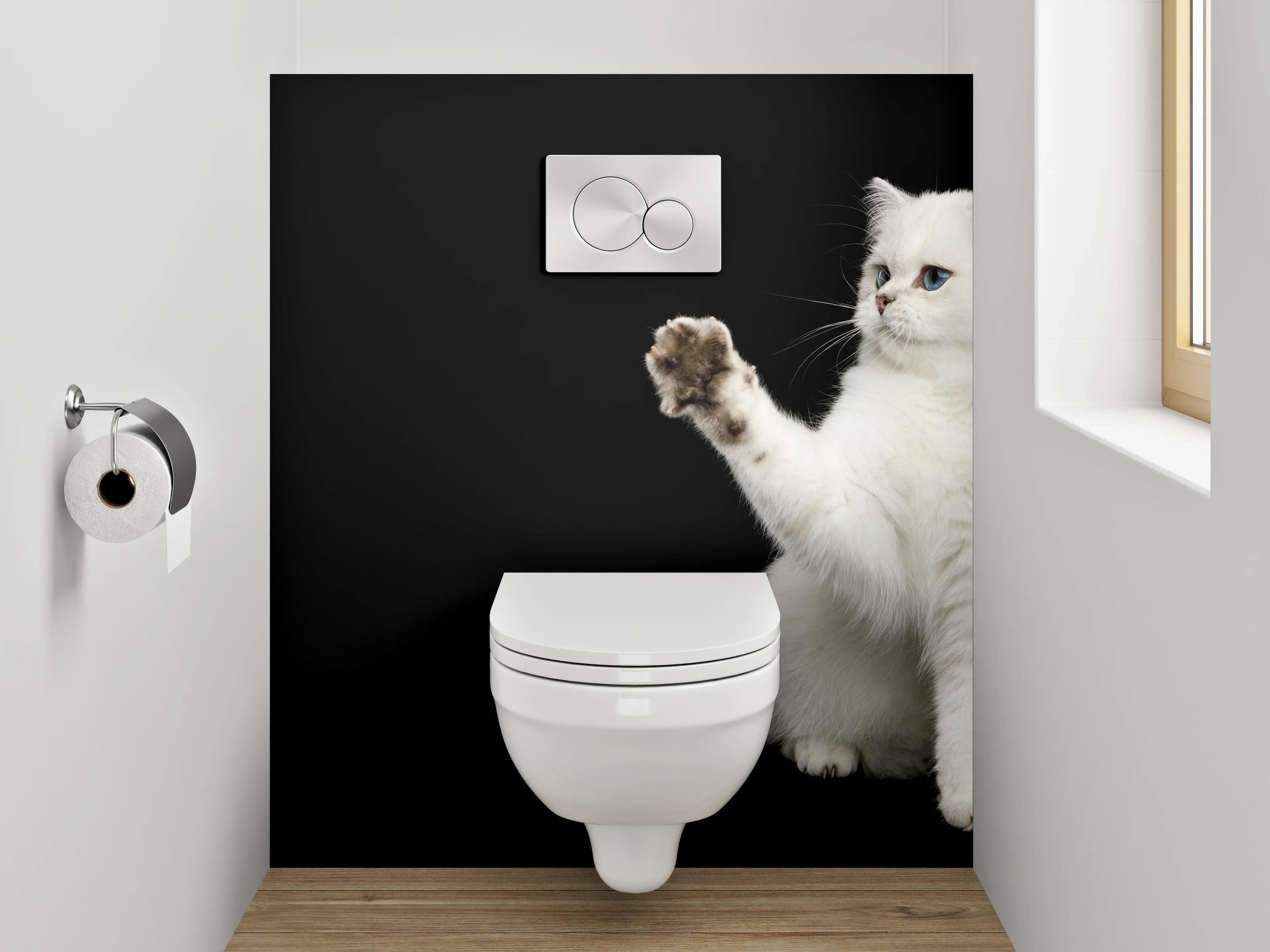 WC-Rückwand - Weiße Katze auf schwarzem Hintergrund