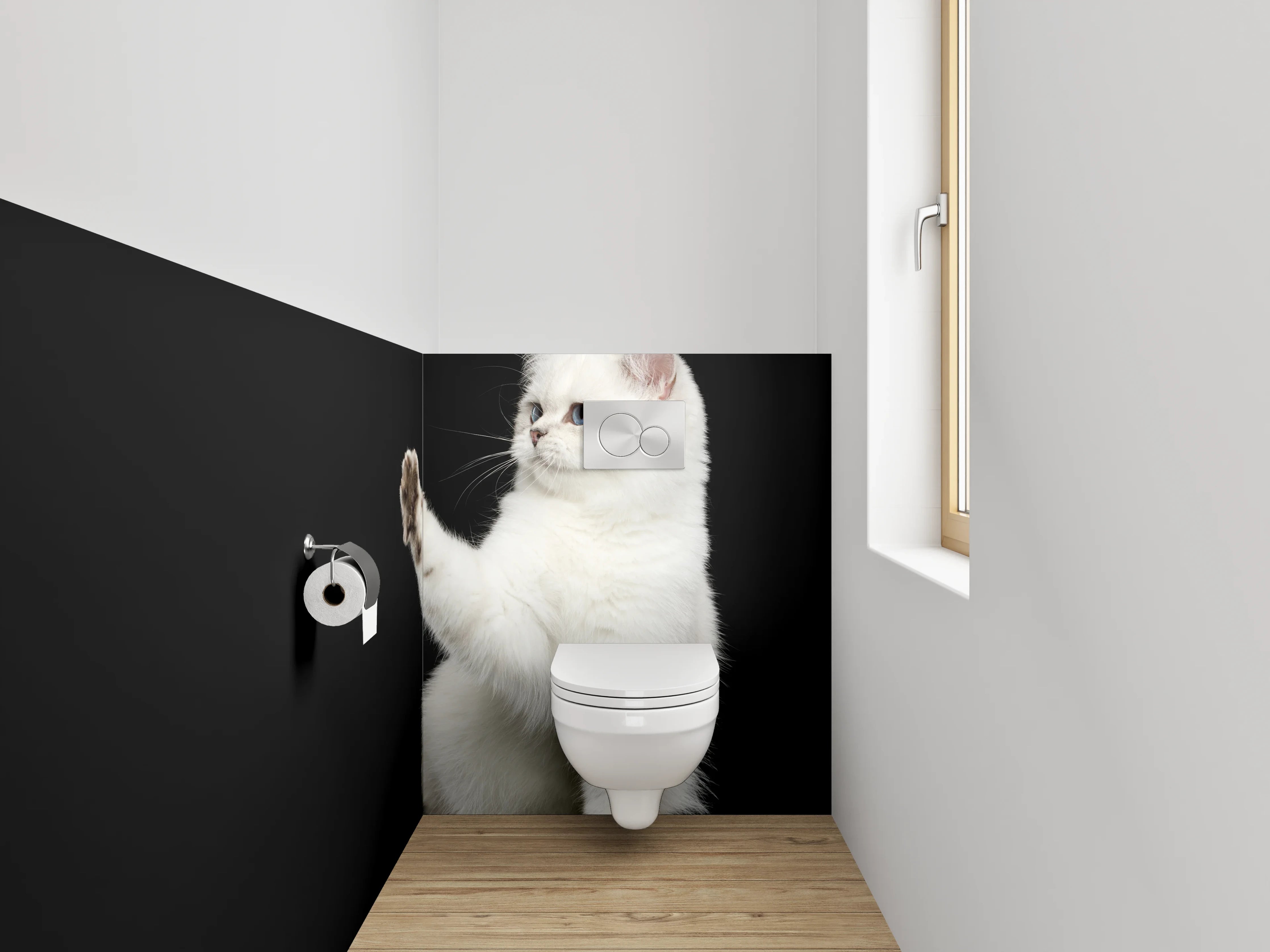 WC-Rückwand - Weiße Katze auf schwarzem Hintergrund