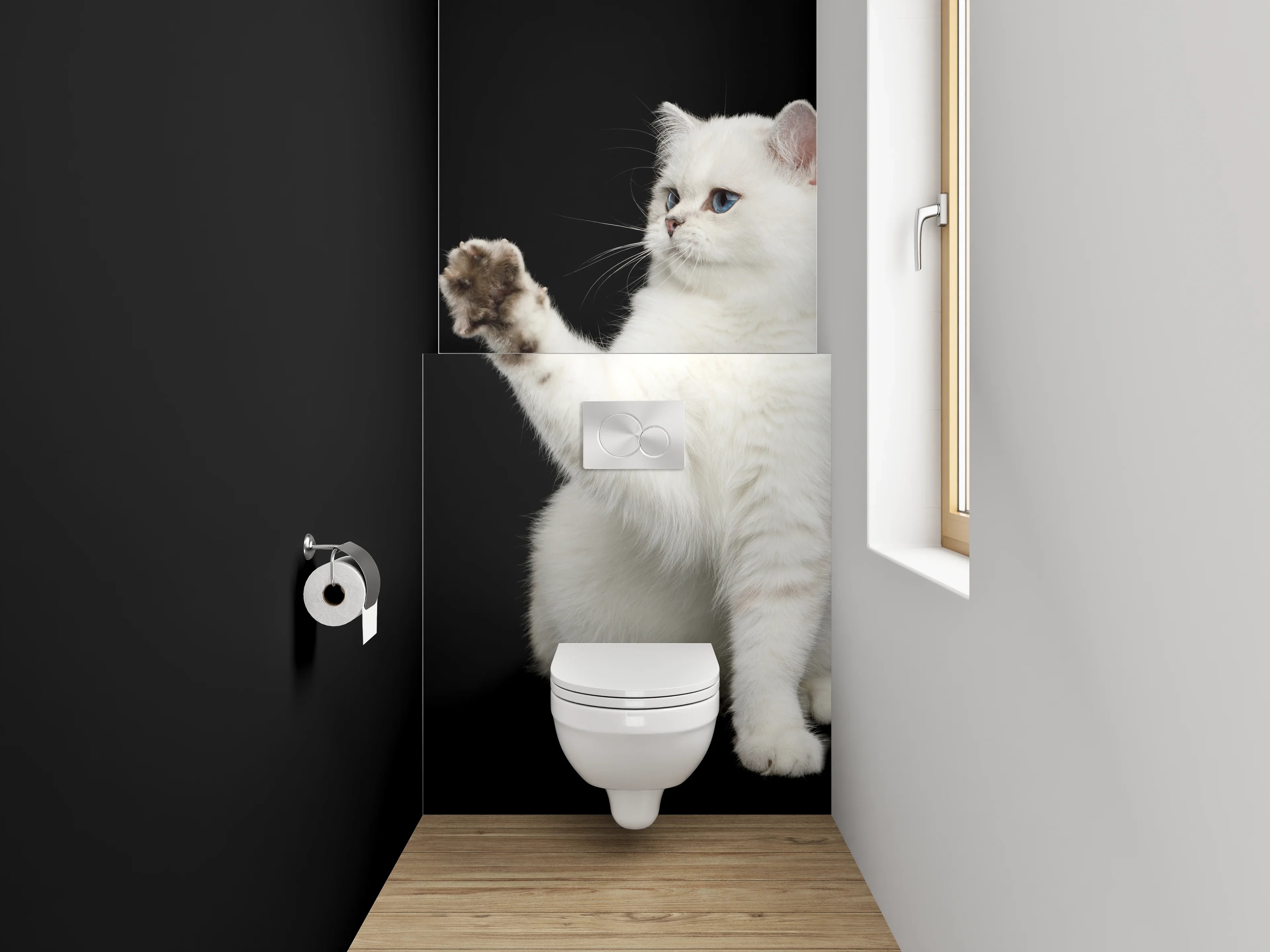 WC-Rückwand - Weiße Katze auf schwarzem Hintergrund
