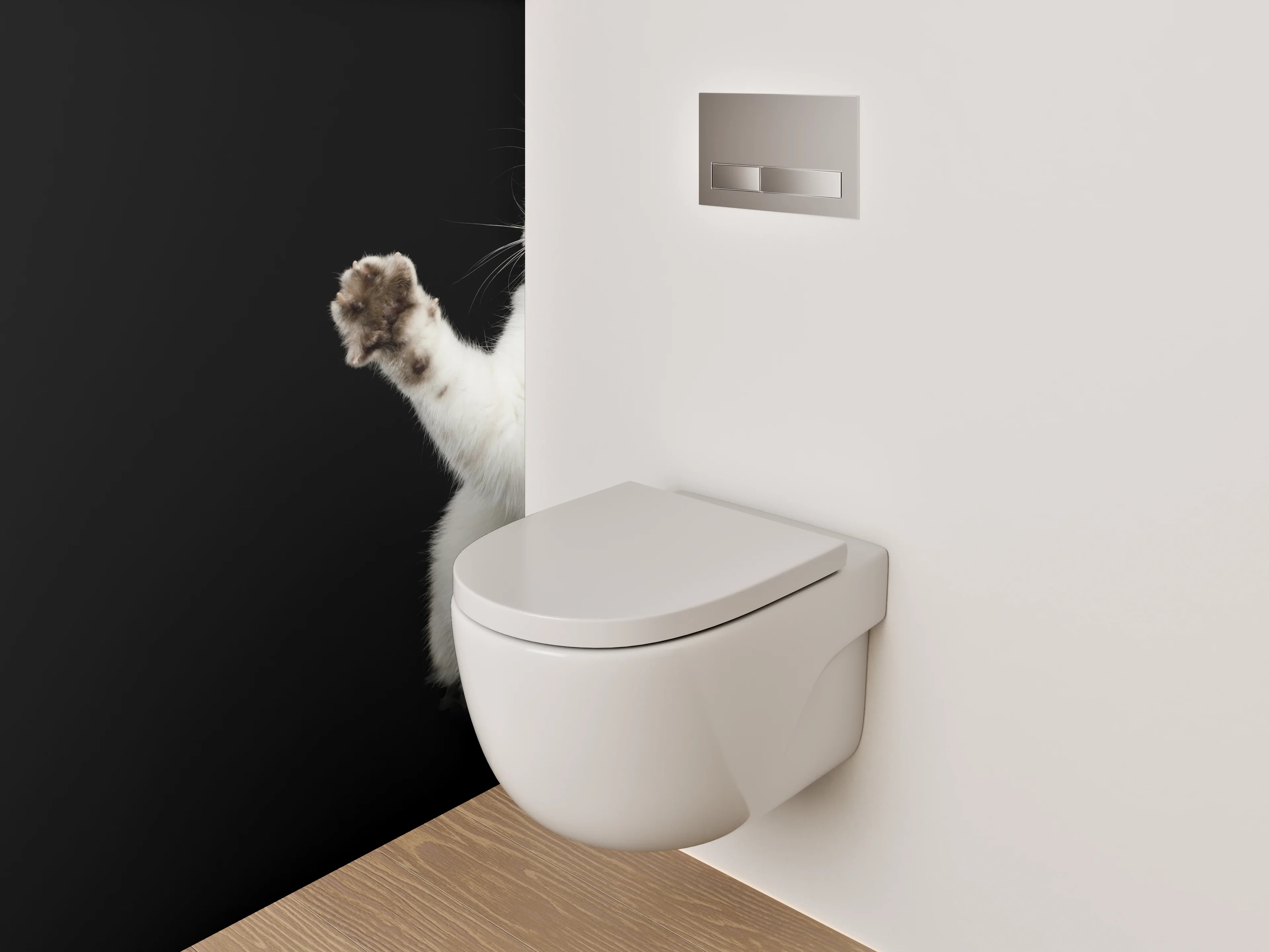 WC-Rückwand - Weiße Katze auf schwarzem Hintergrund
