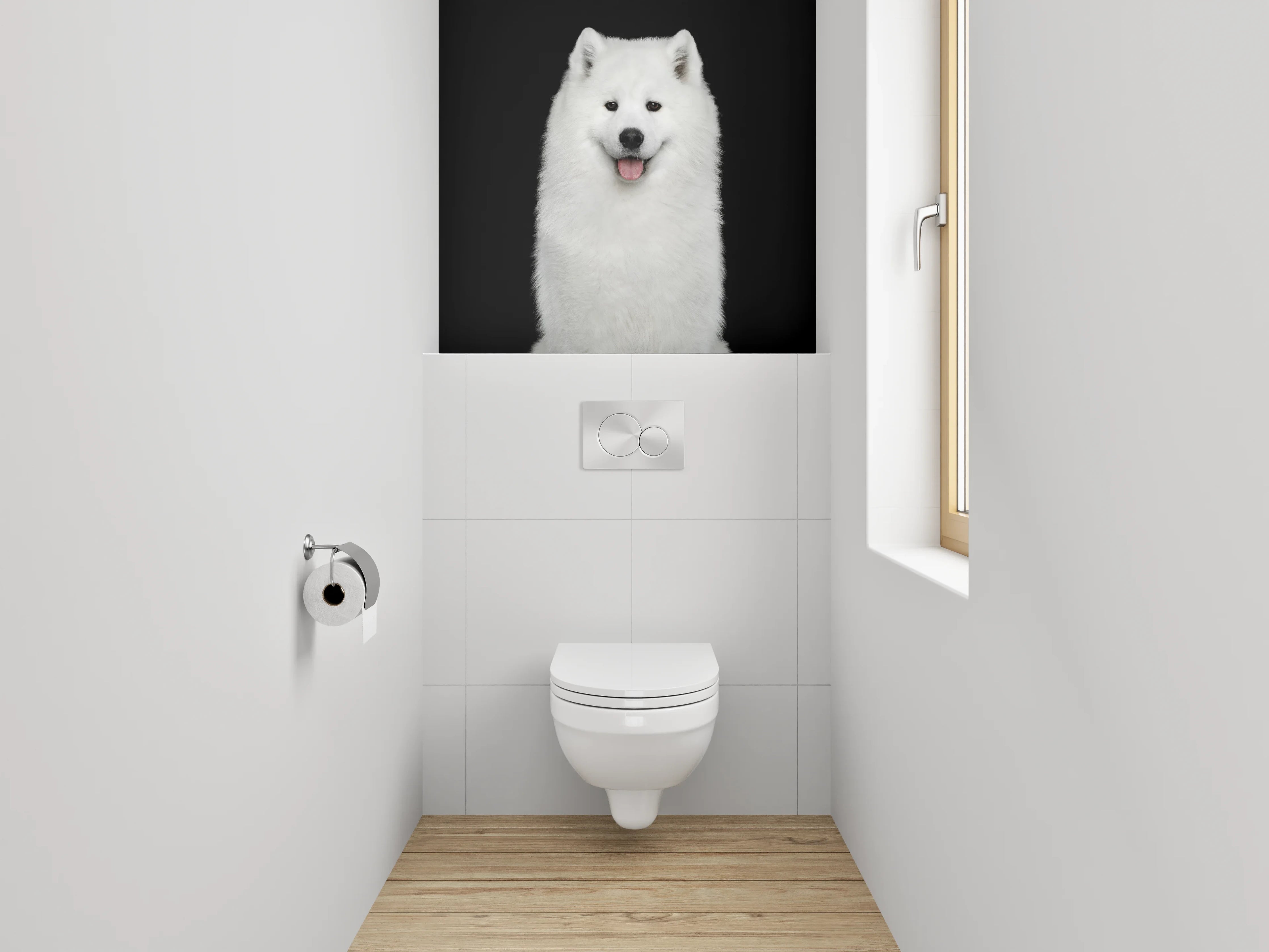 WC-Rückwand - Weiße Schönheit: Samojede Hund Portrait