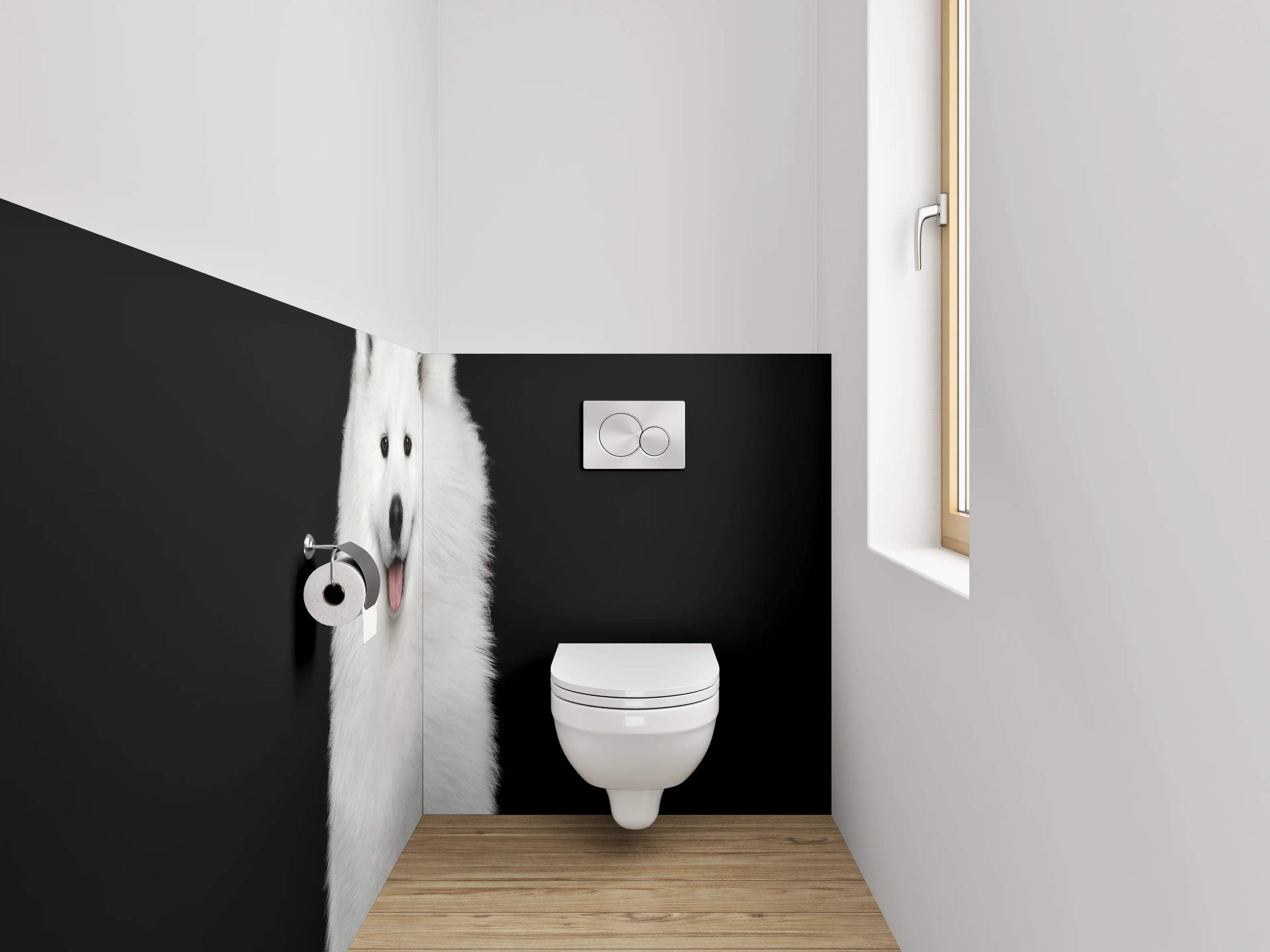 WC-Rückwand - Weiße Schönheit: Samojede Hund Portrait