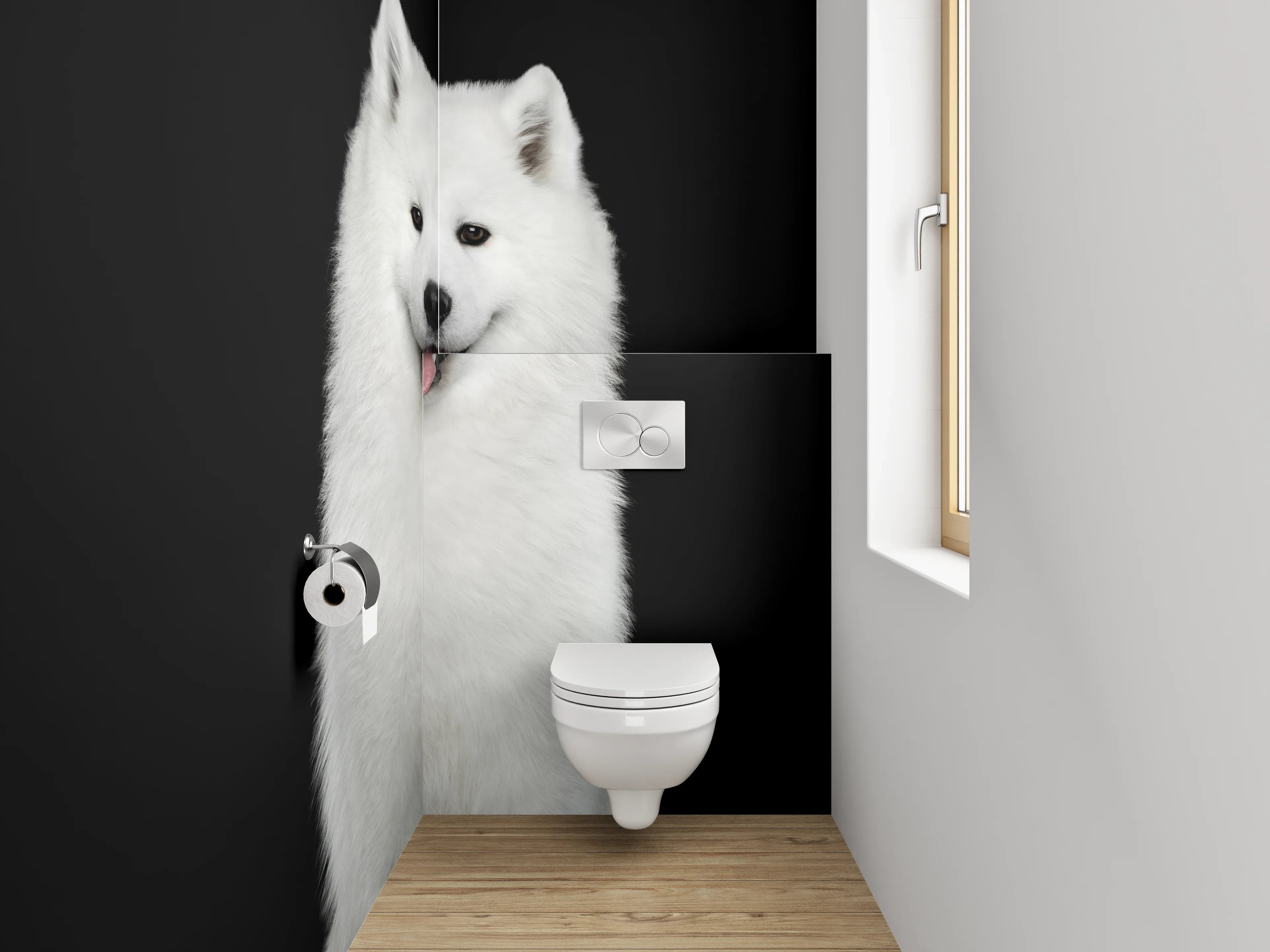 WC-Rückwand - Weiße Schönheit: Samojede Hund Portrait