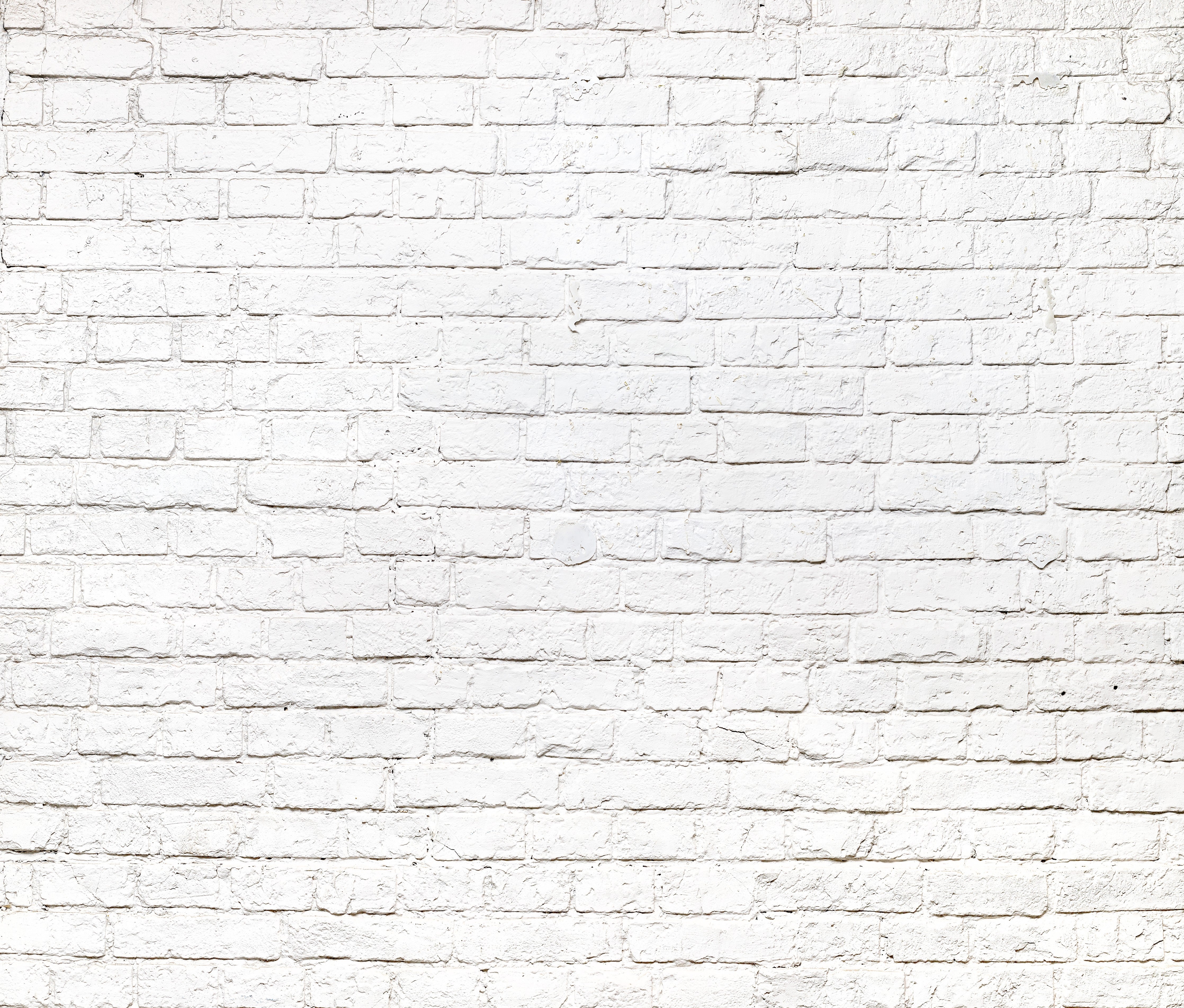 WC-Rückwand-Weiße Ziegelwand für moderne Akzente