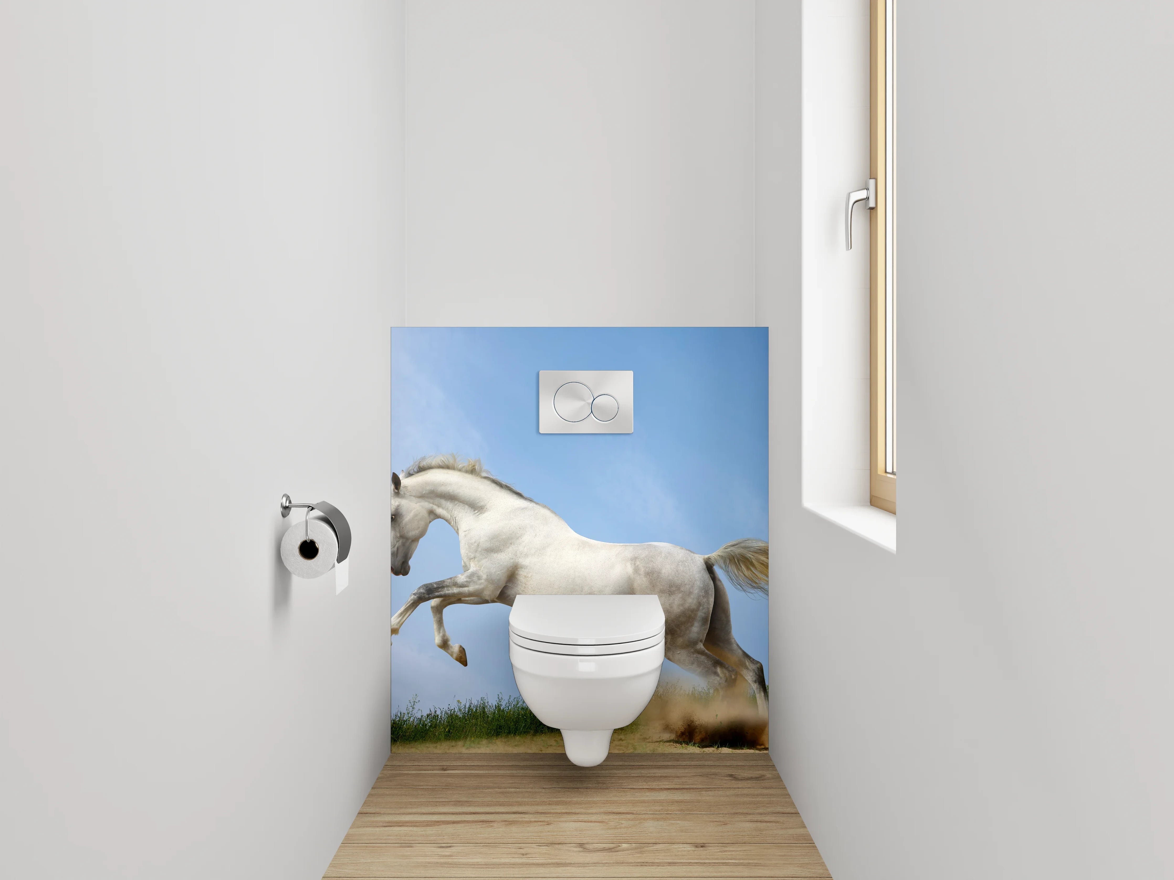 WC-Rückwand - Weißes Pferd galoppiert im Sonnenschein