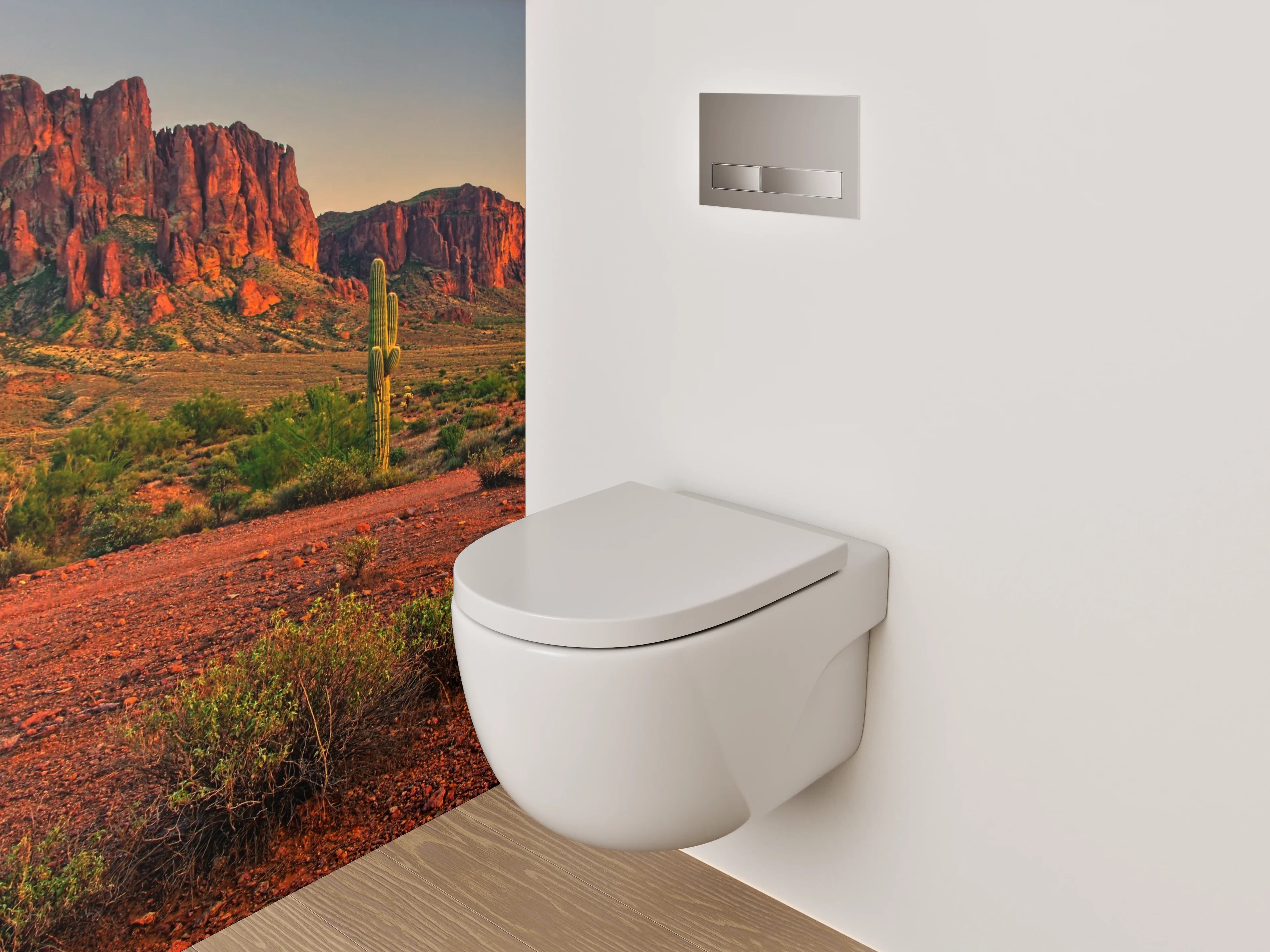 WC-Rückwand - Wüstenlandschaft mit Kakteen und roten Felsen