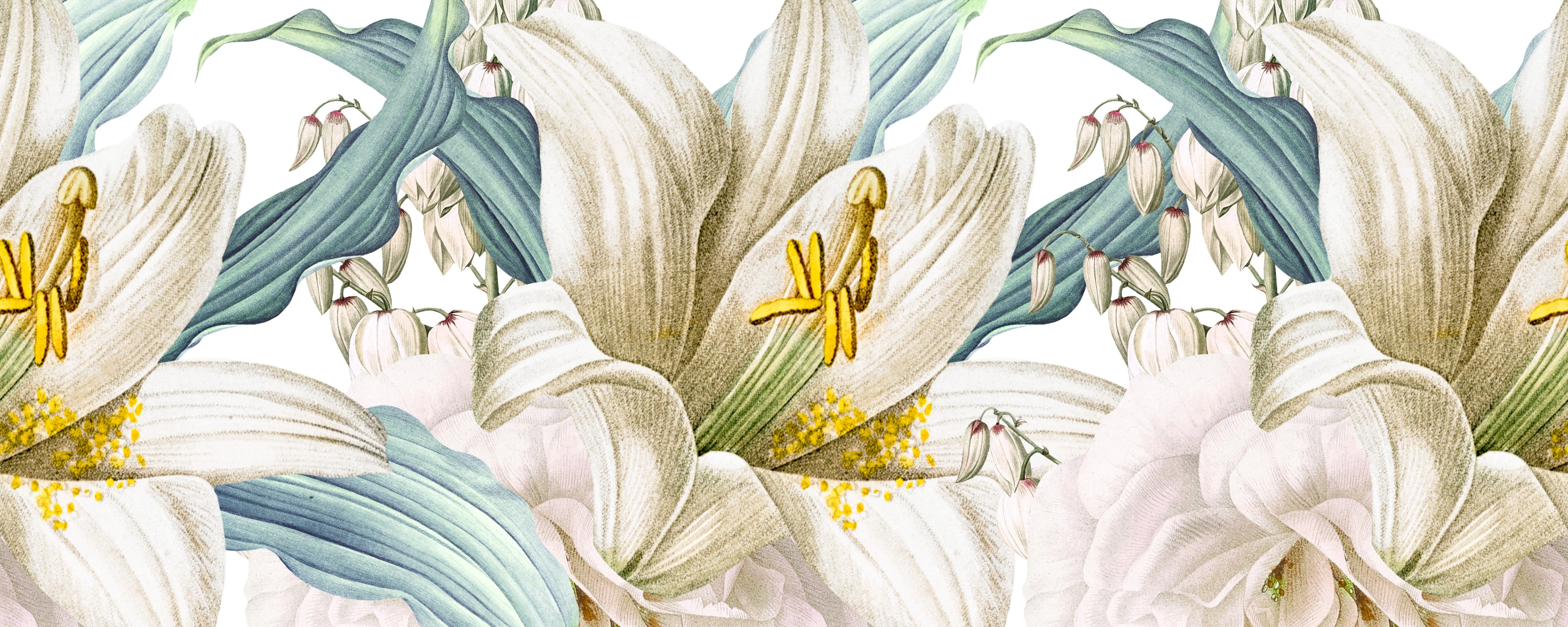 WC-Rückwand-Zarte Lilien Blumen Illustration