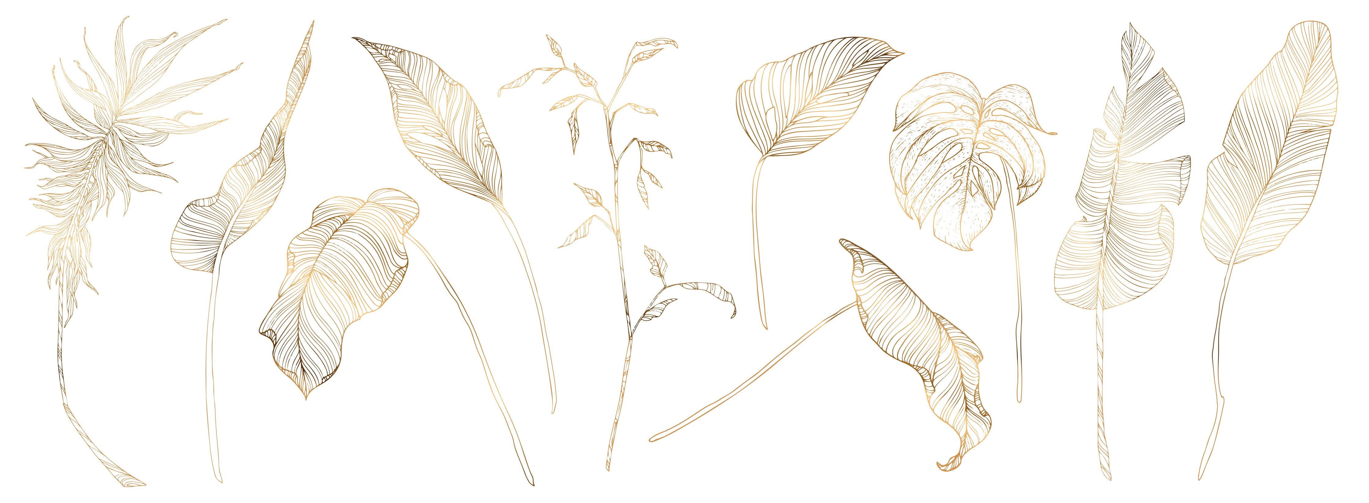 WC-Rückwand-Zarte botanische Lineart auf Weiß