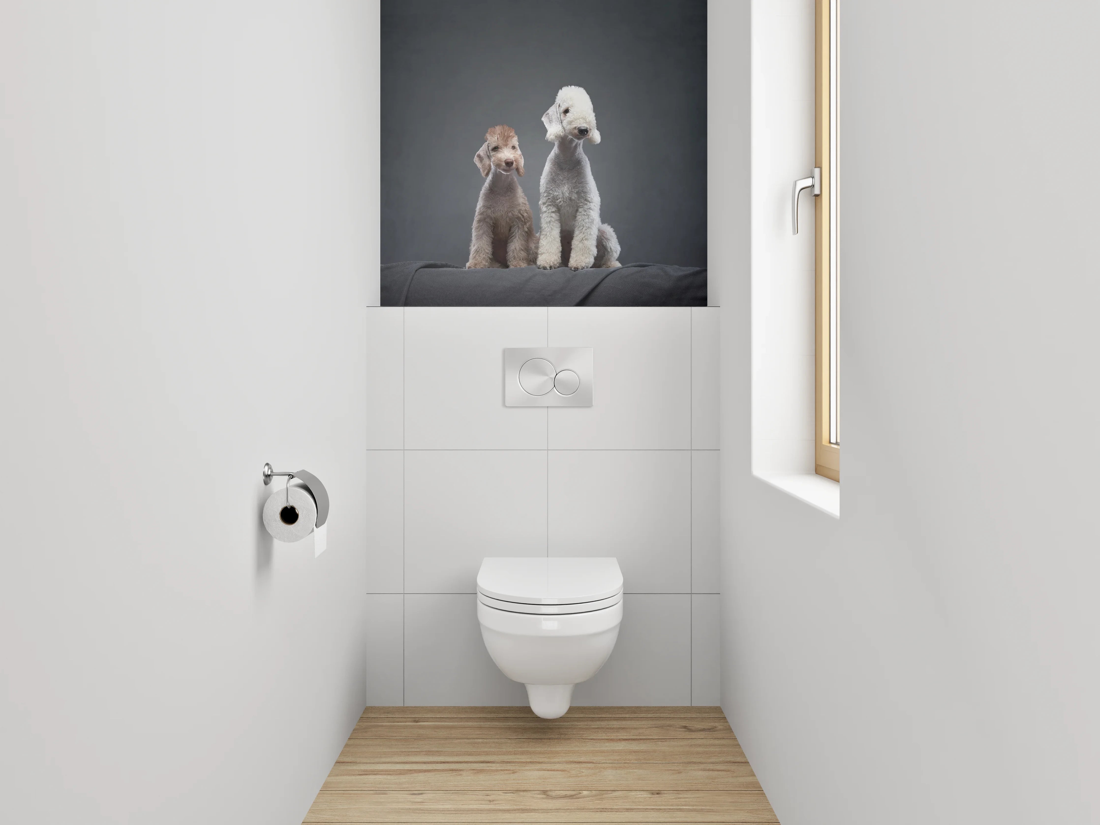 WC-Rückwand - Zwei Bedlington Terrier auf dunklem Hintergrund